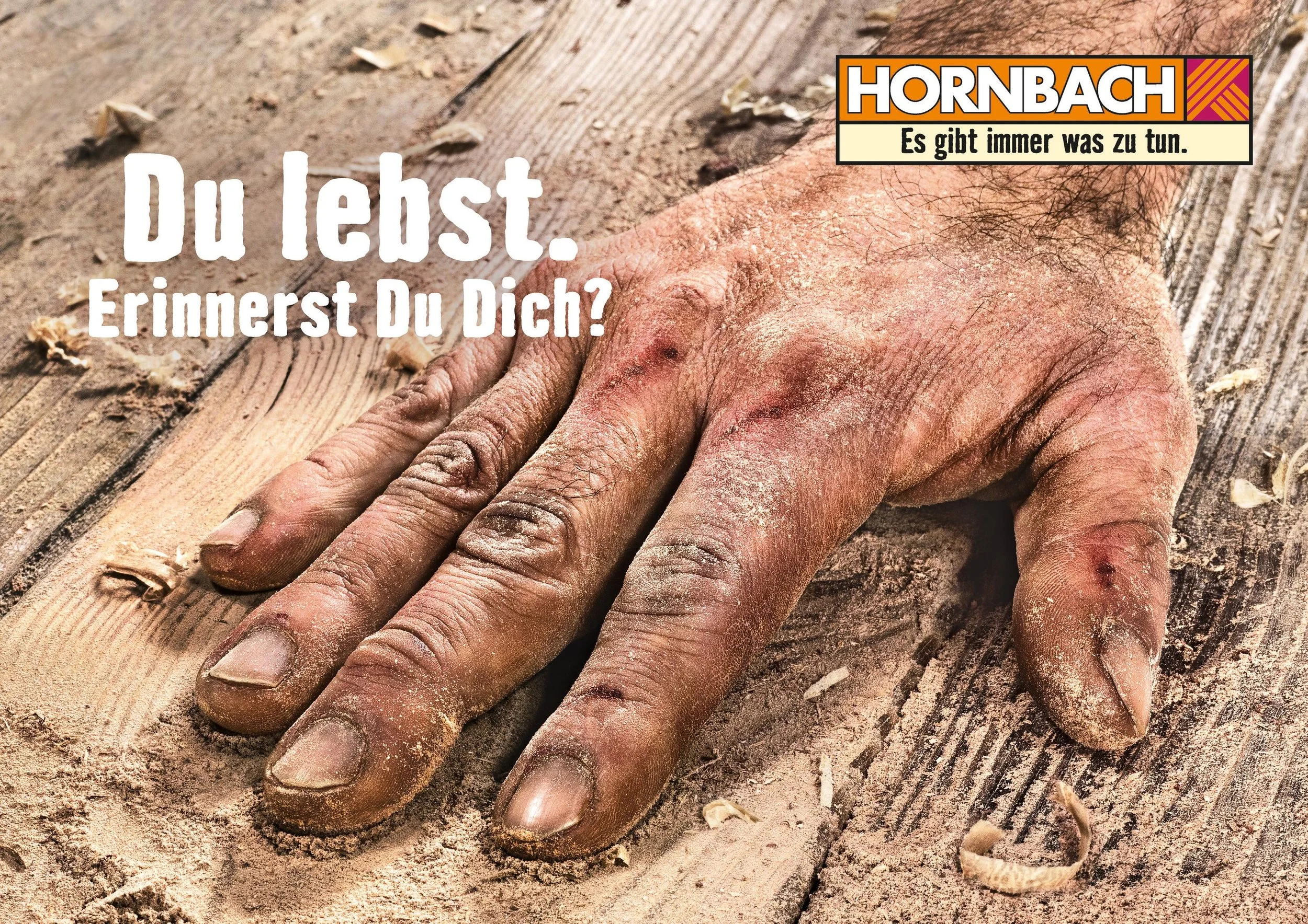 HB_03_16_DLEDD_A2_quer_Holz_RZ_01_297x210mm_300dpi_sRGB.jpg