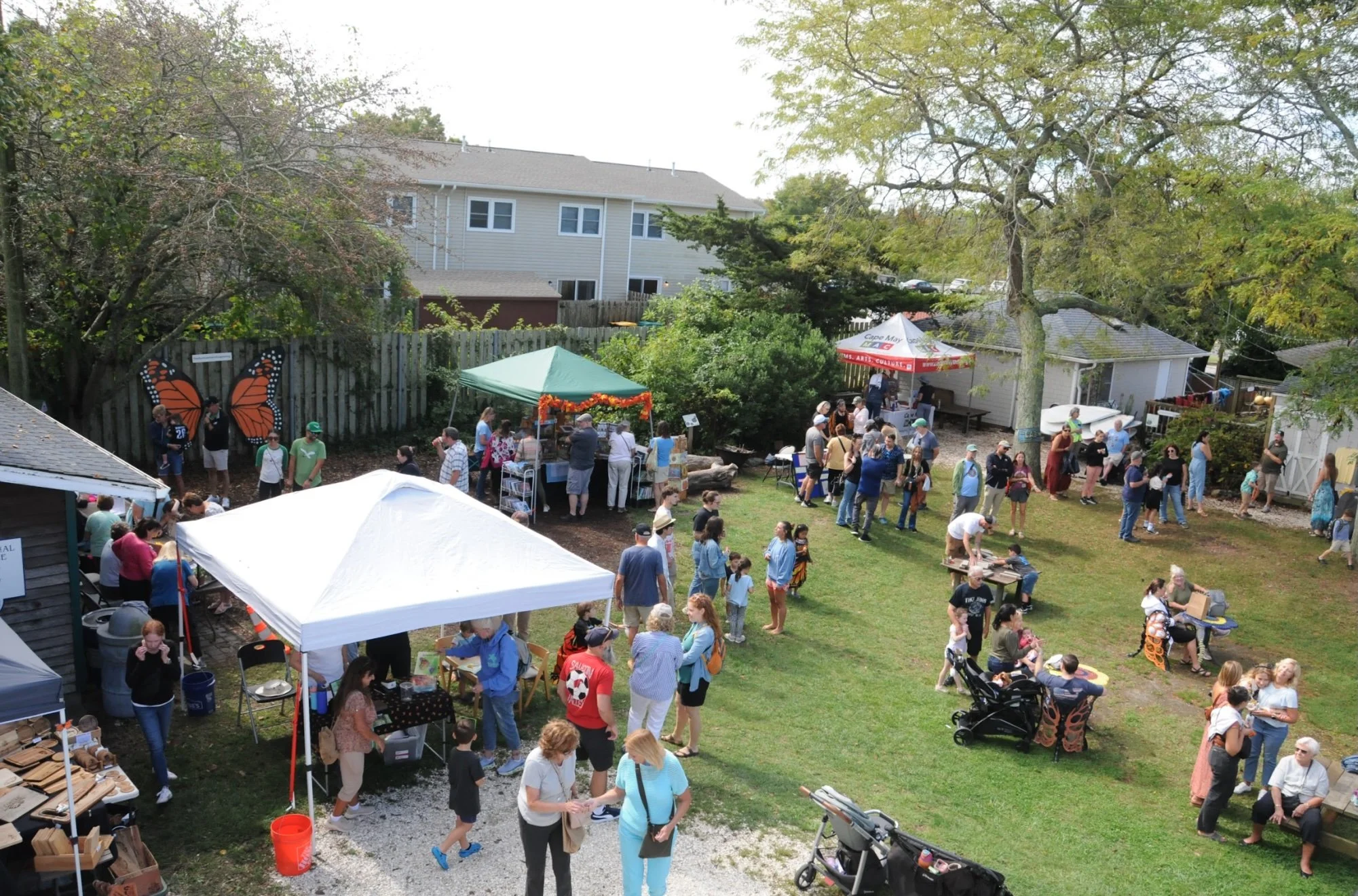 Cape May Butterly Festival.jpg