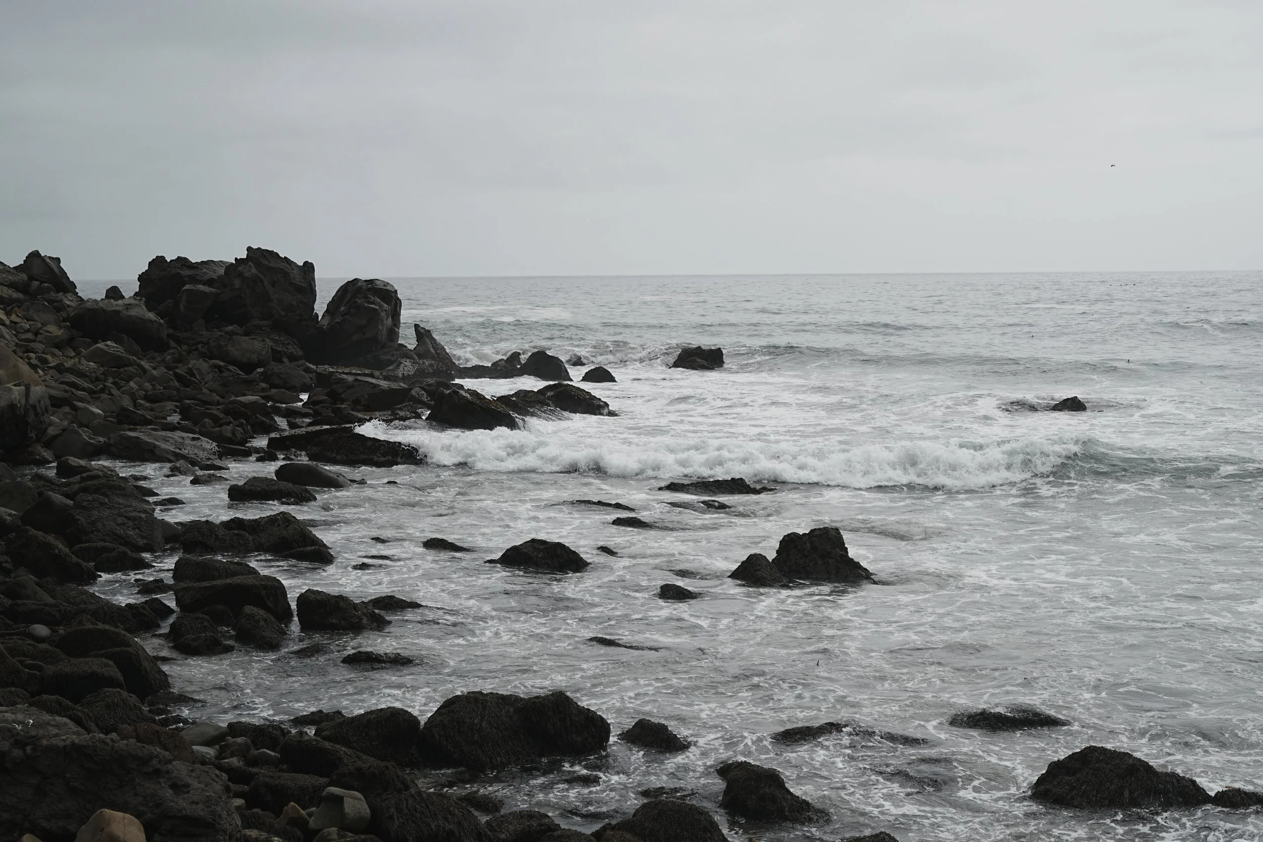 DSC01731.jpeg