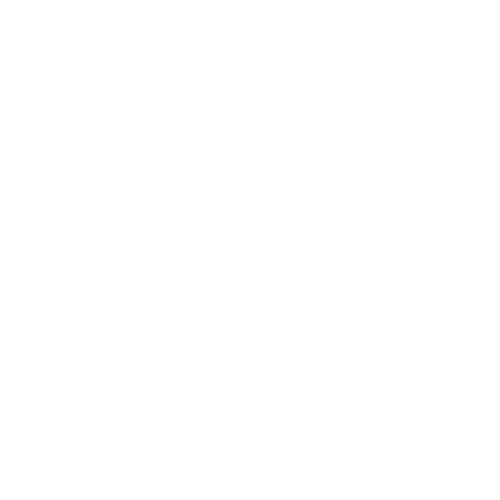 BRANCHING OUT TREE CARE