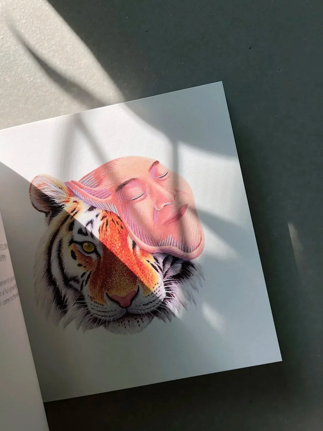 web_SO-book-5+ver.jpg