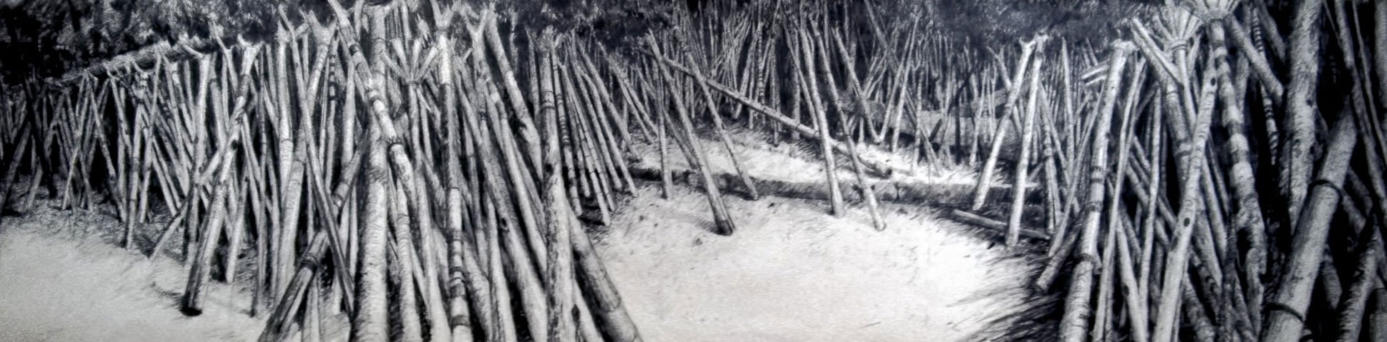 "Bodhi Tree of Wisdom" graphite drawing 50x39 in