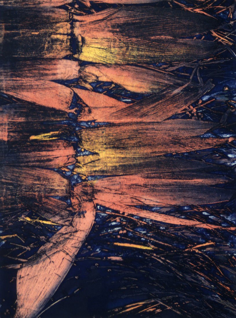 "Weave and Mend" intaglio/viscosity !4x19 in