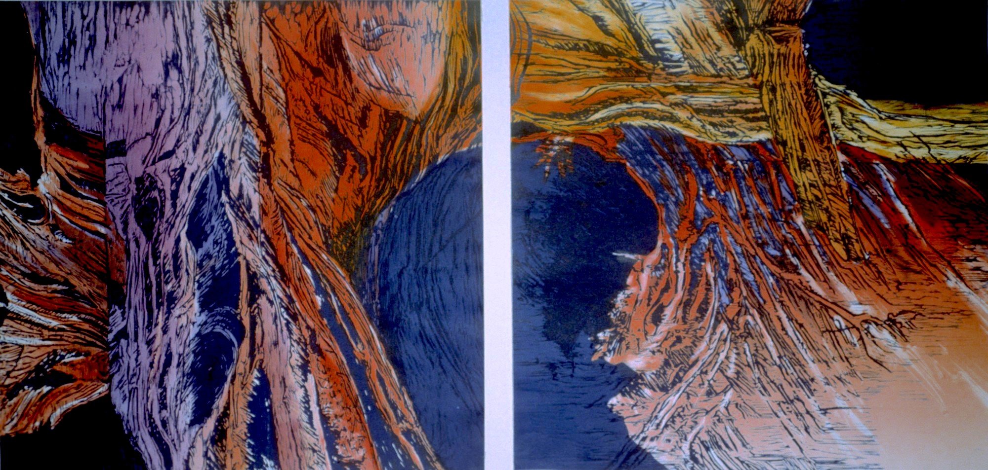 "Winged Rocks Torko Gorge" woodcut/monotype double 48x24 in