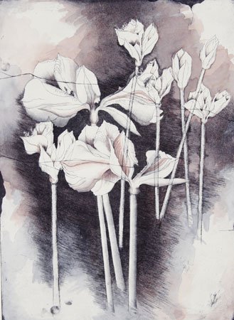 "The Unfolding" hand-colored intaglio 16x22 in