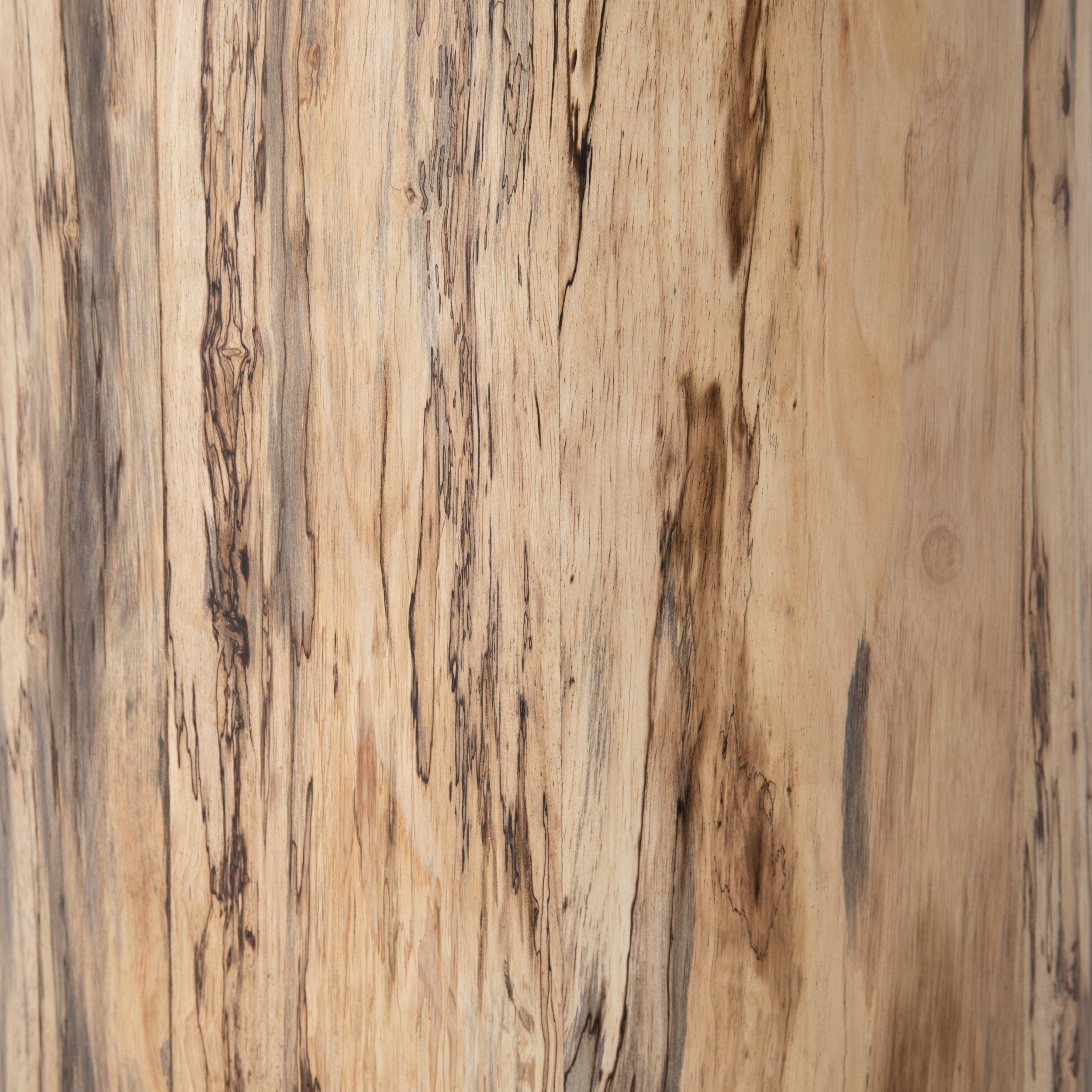 Hudson Media - Spalted Primavera 07.jpeg
