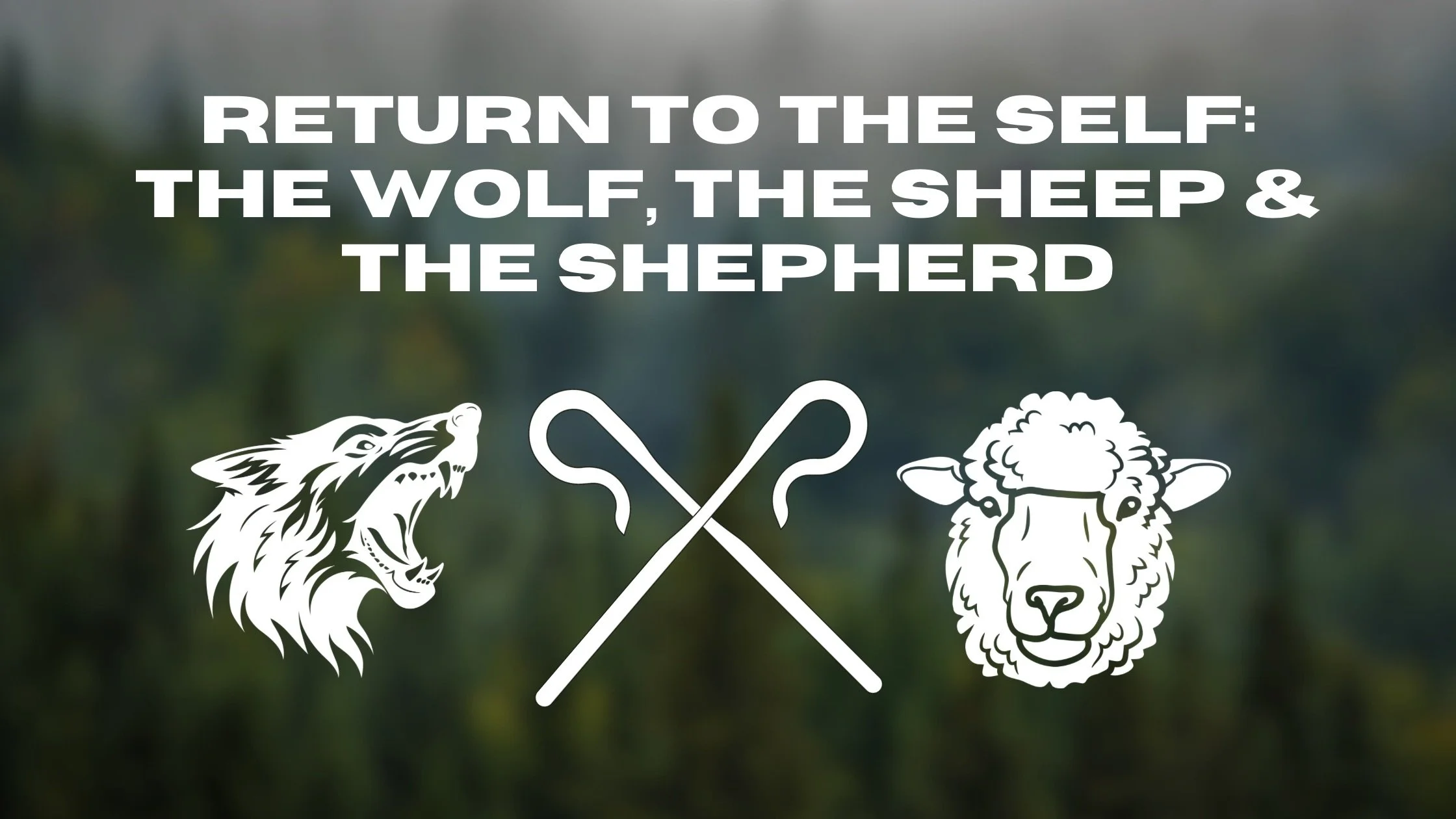 Return to the Self: The Wolf, the Sheep and the Shepherd