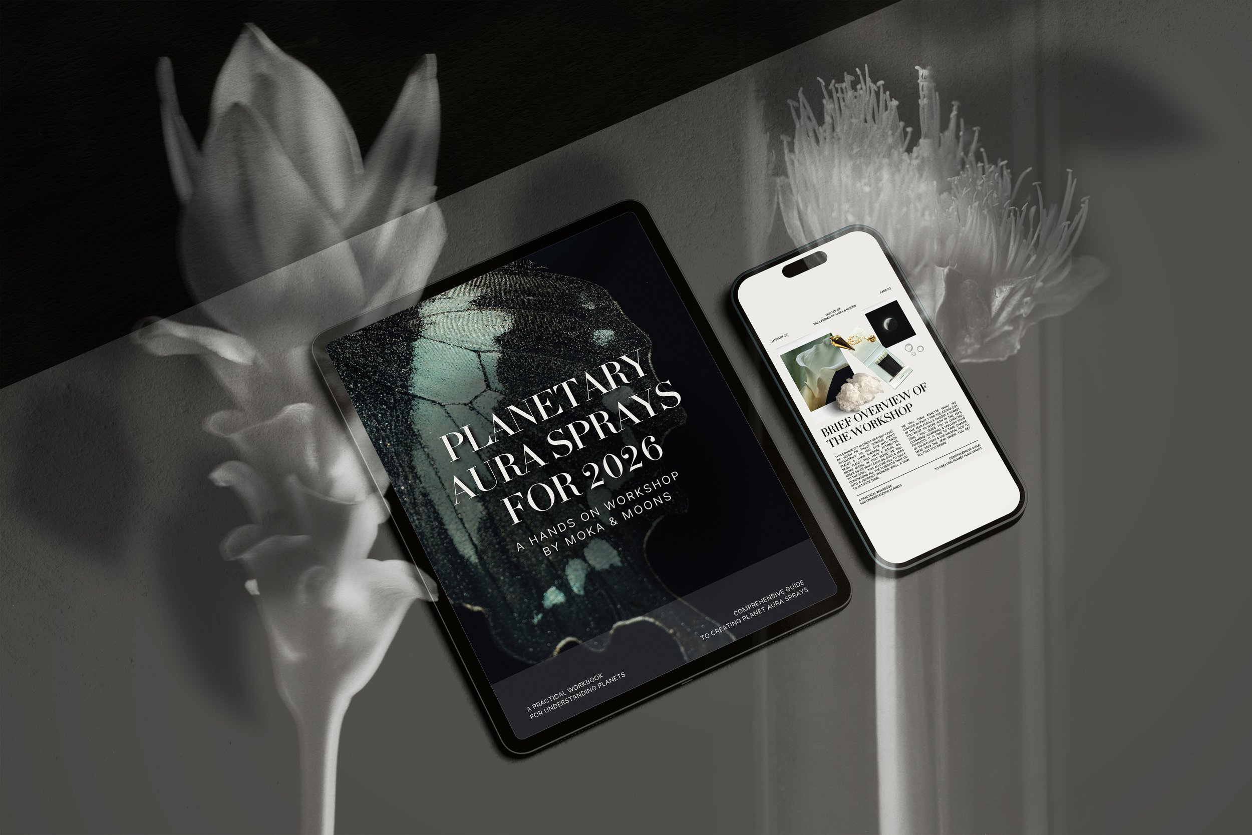 Planetary Aura sprays for 2026!