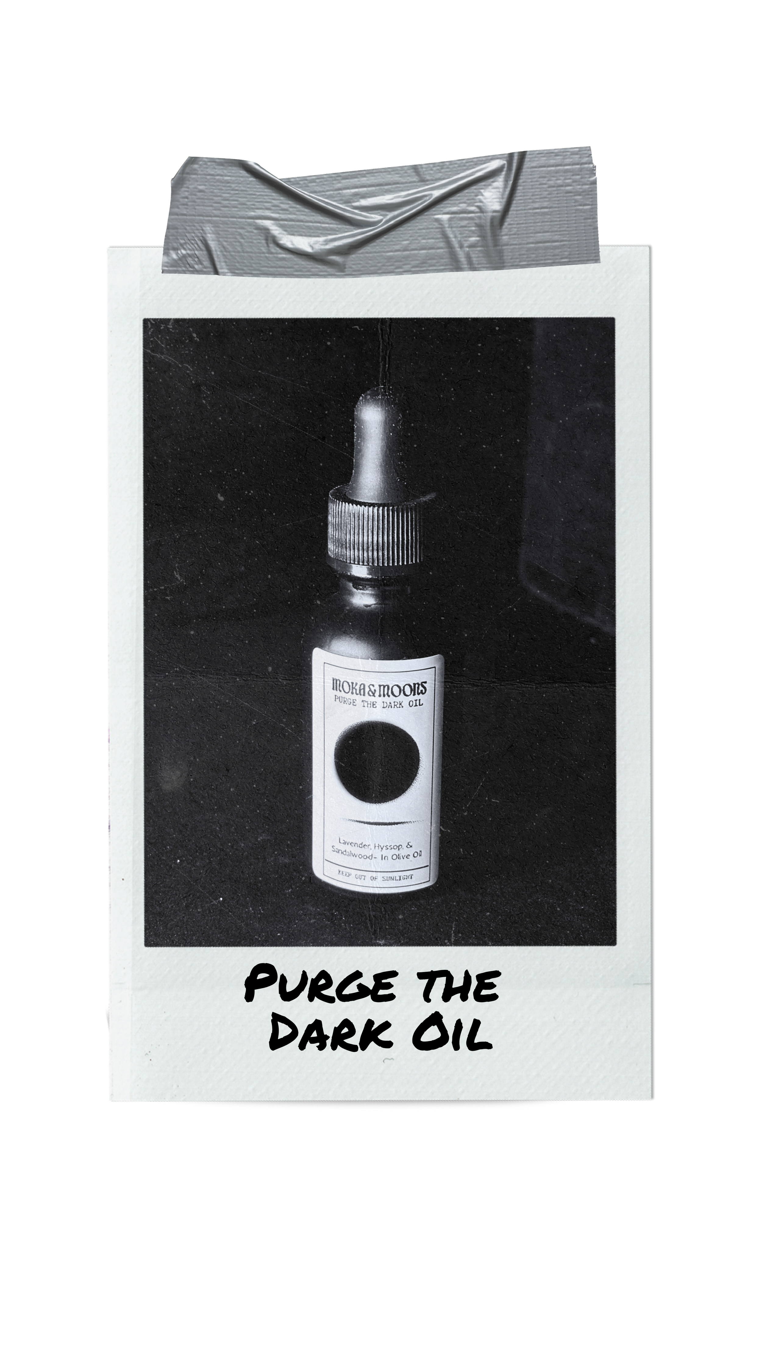 Purge The Dark