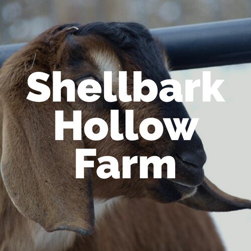 Shellbark.jpg
