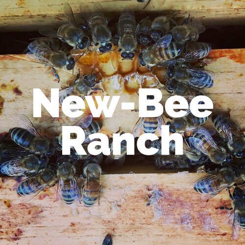 NewBeeRanch.jpg