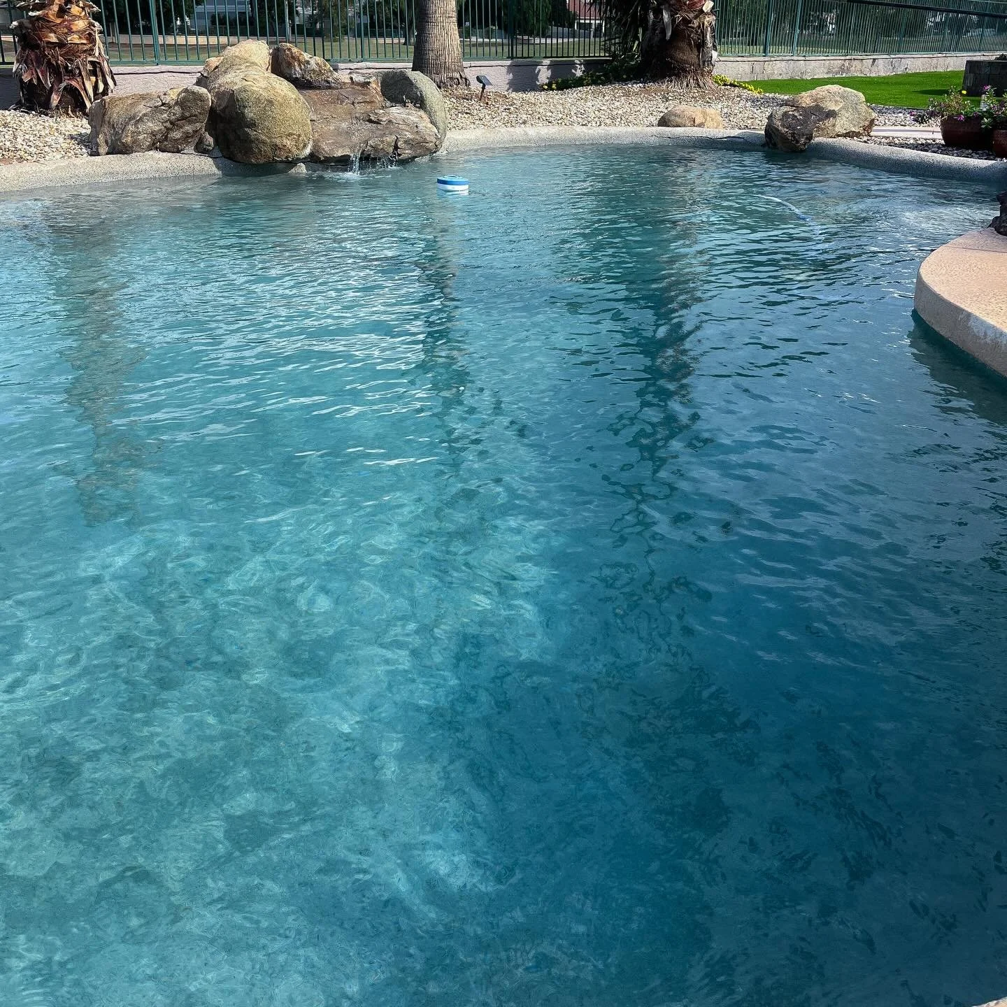 Call or text today for a free quote on weekly pool maintenance!