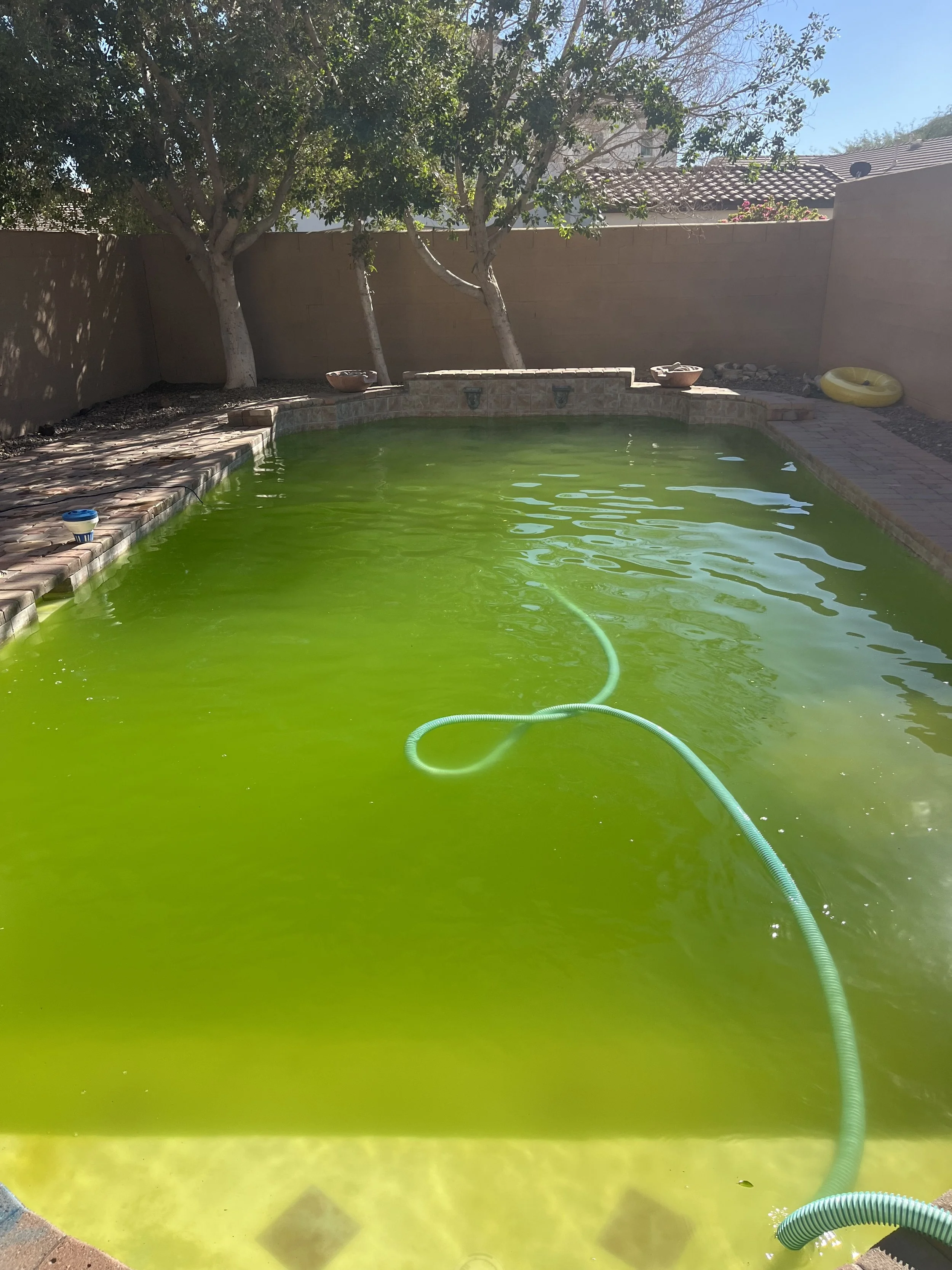 a green pool that sunhill pool is treating