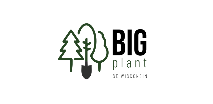 Big Plant