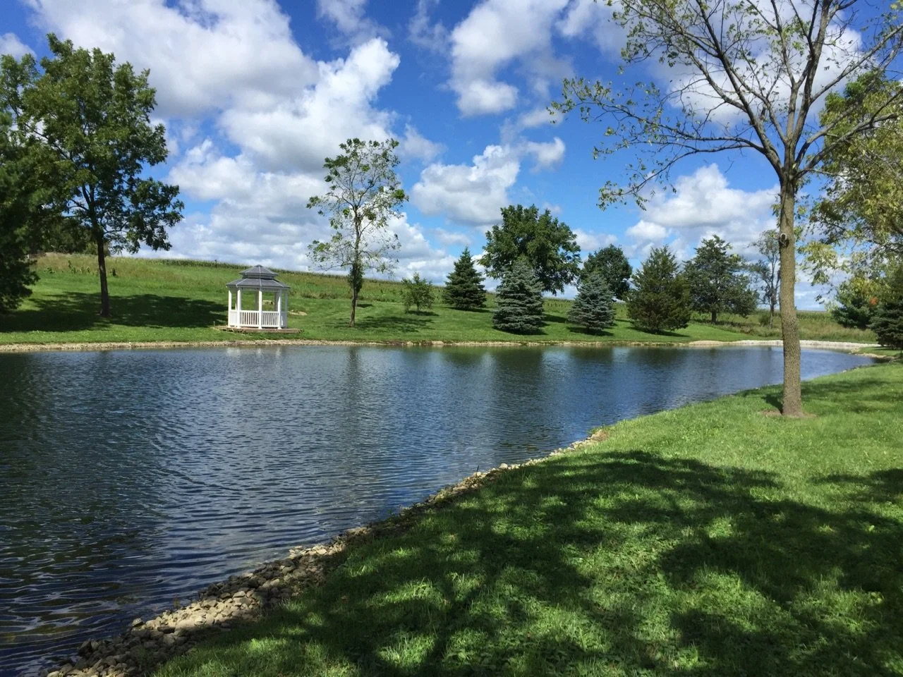 8-17-2016 pond of Pleasant Grove Heritage Park