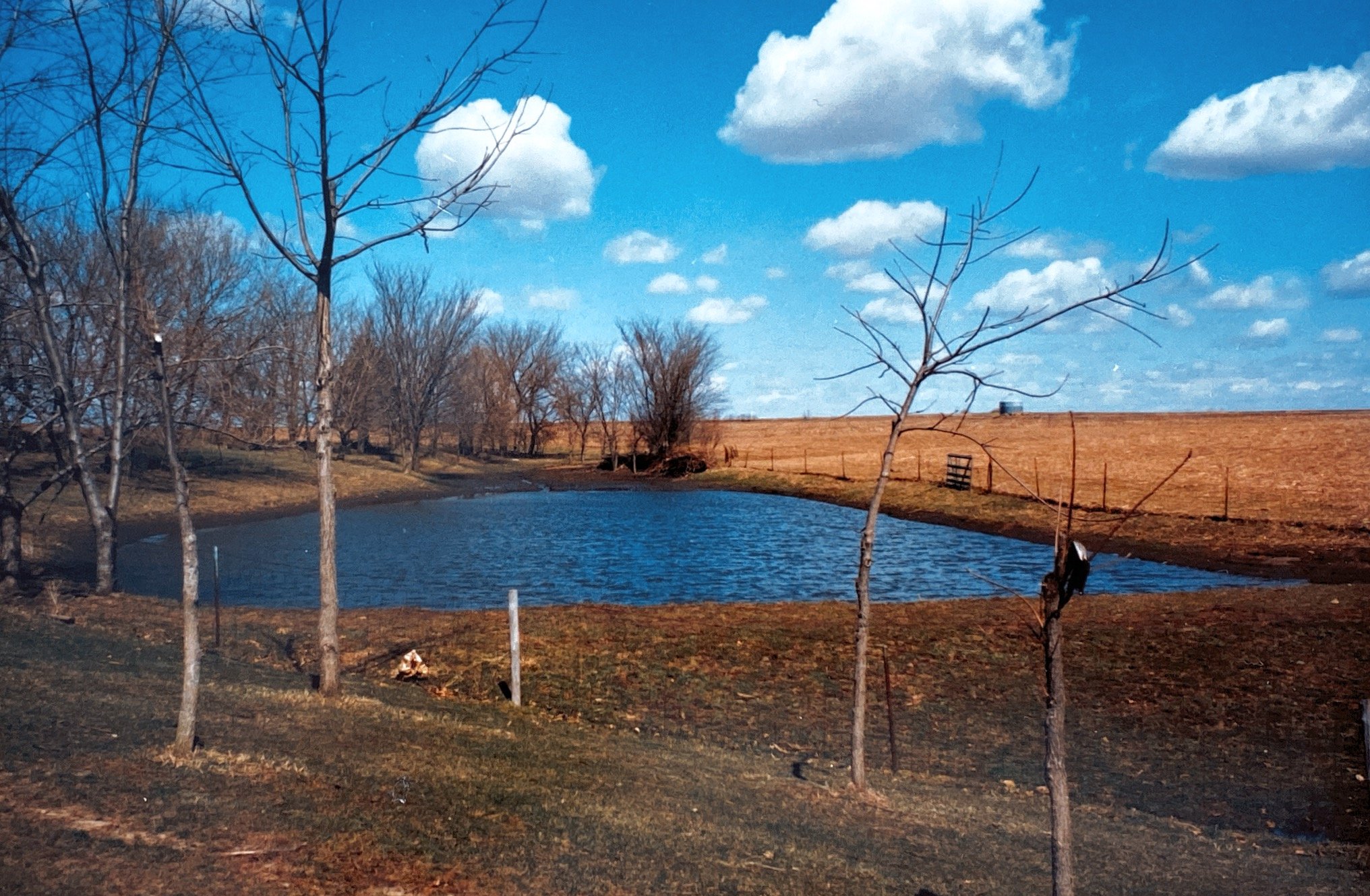 1990 the first pond completed.
