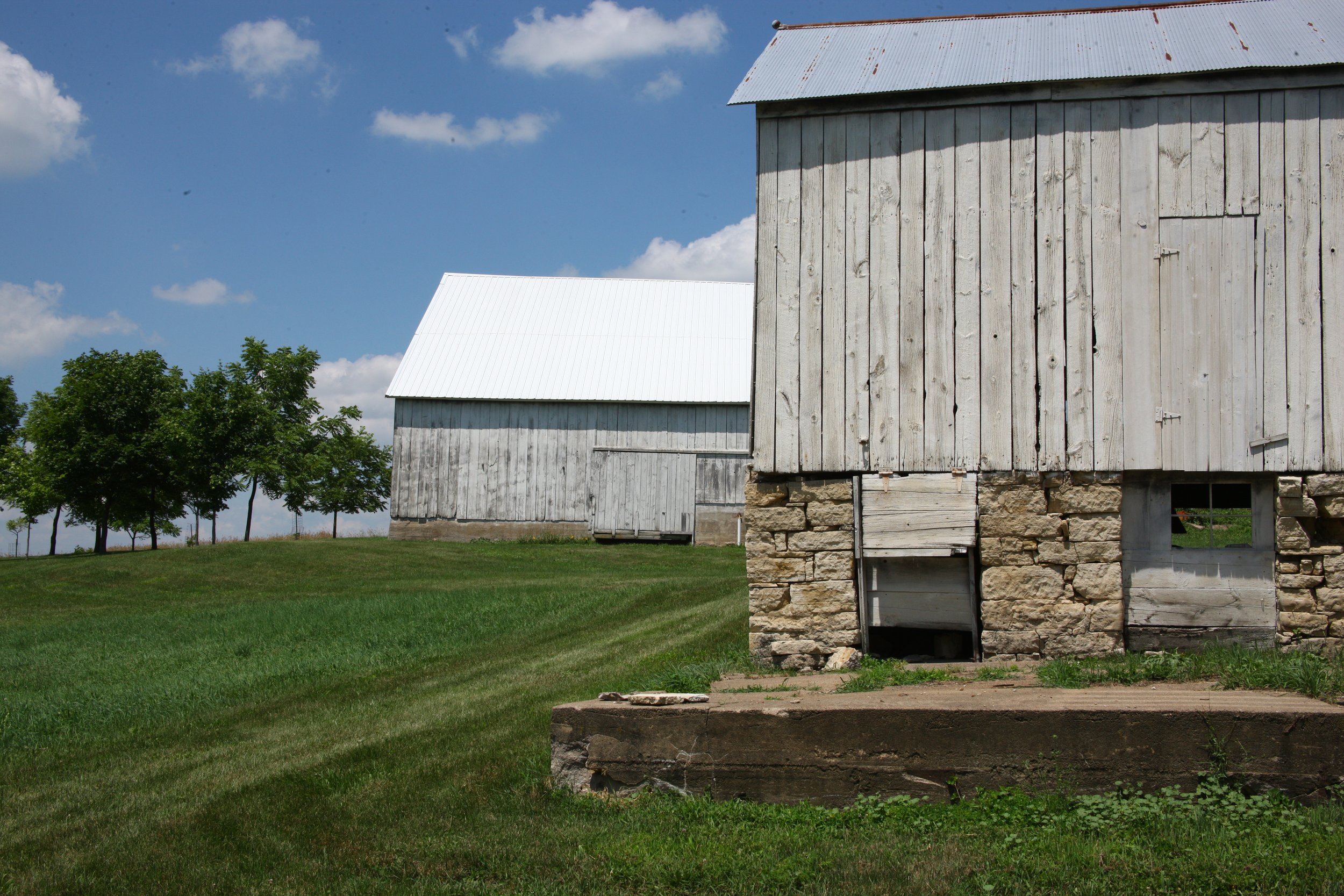 Two rustic barns on a grassy hill under a partly cloudy blue sky, with a row of trees in the background.