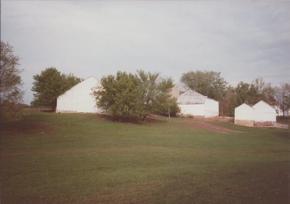 A rural scene with green grass, trees, and several white farm buildings or barns, some with dirt patches and fences visible.