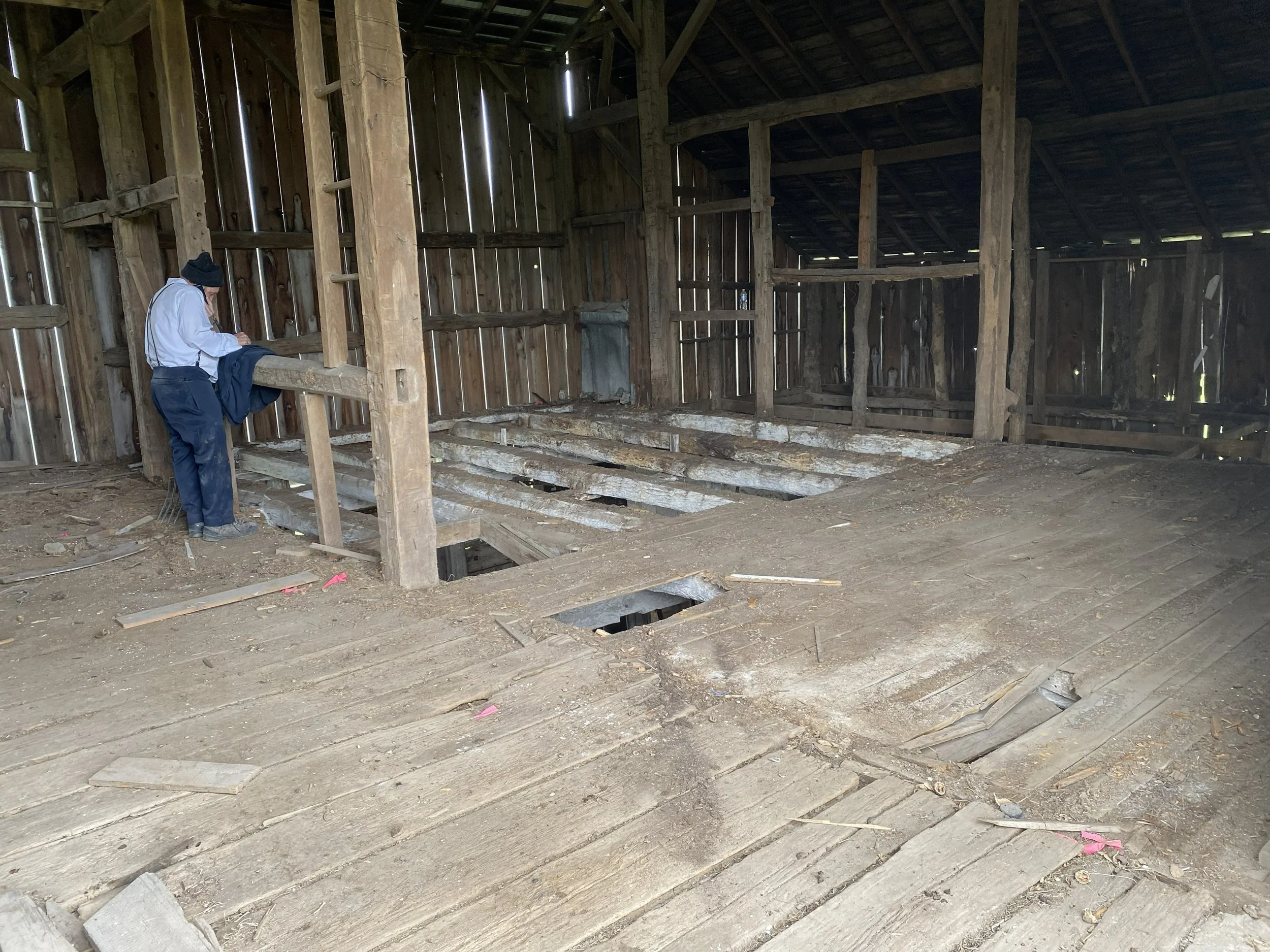 5/5/2026 Meyers Farmstead Historic District dairy barn - starting restoration on the flooring.