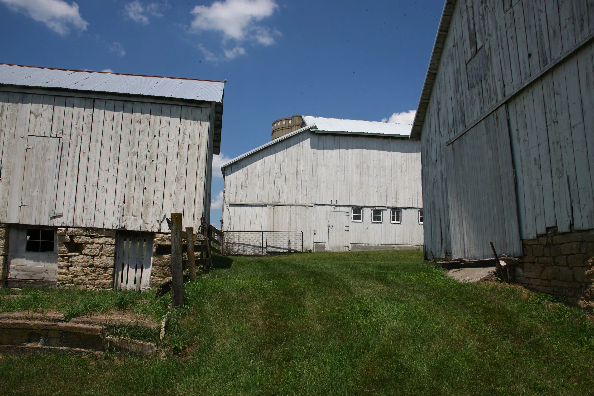 Three white wooden barns with stone foundations and a grassy area between them under a blue sky.