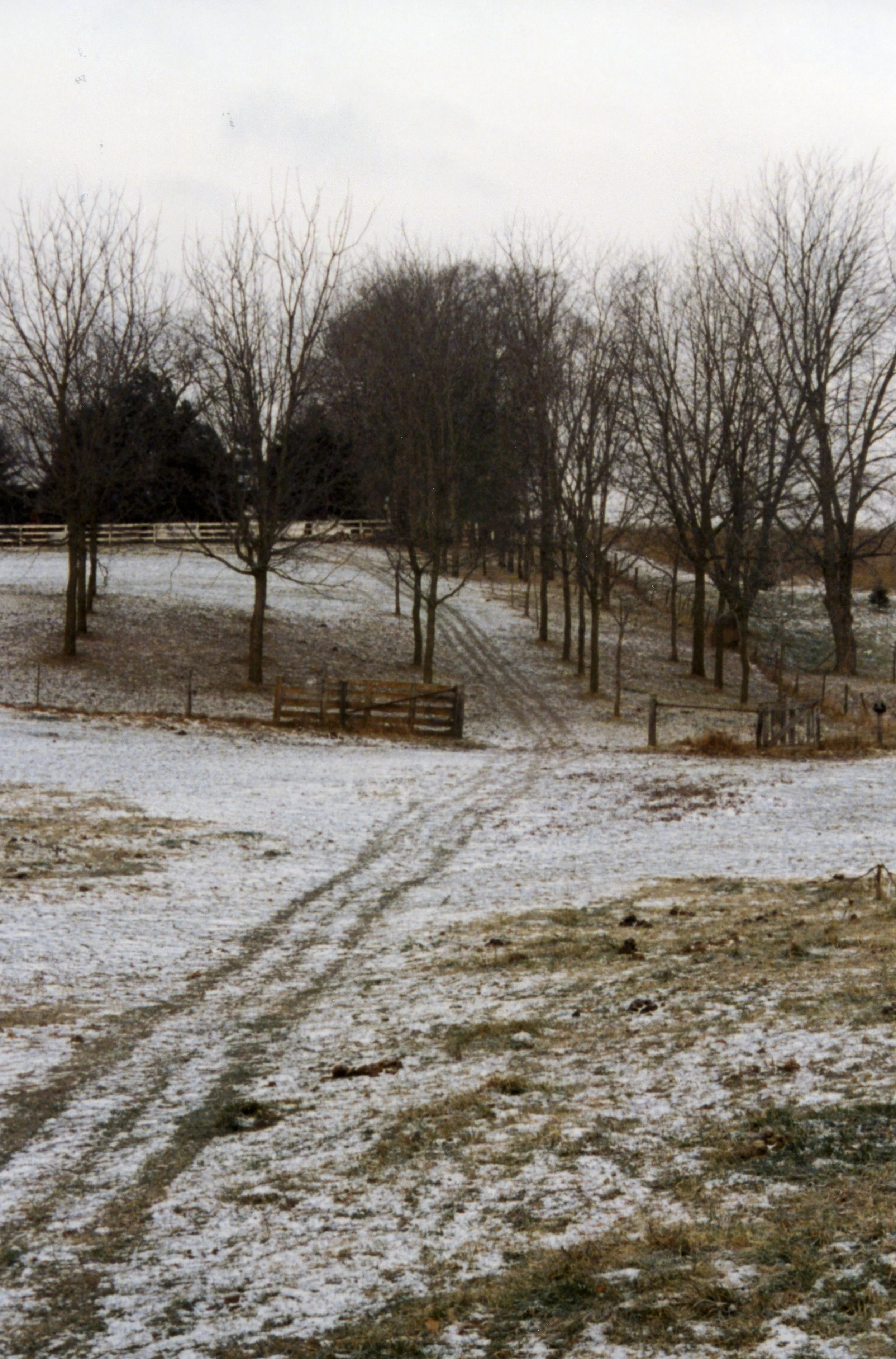 Walnut Grove looking from the barns.