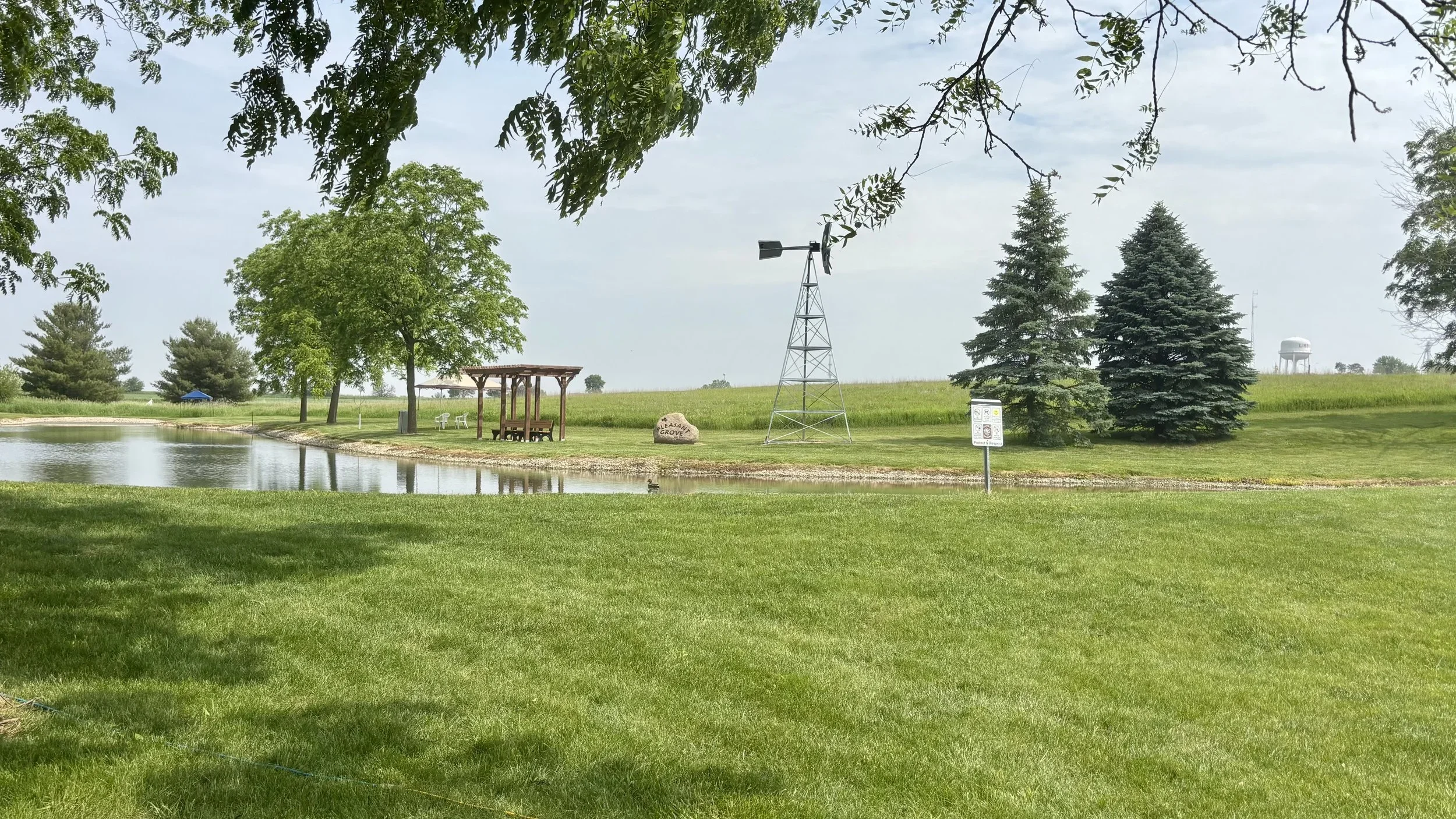 beautiful park setting with pergola, rock and trees