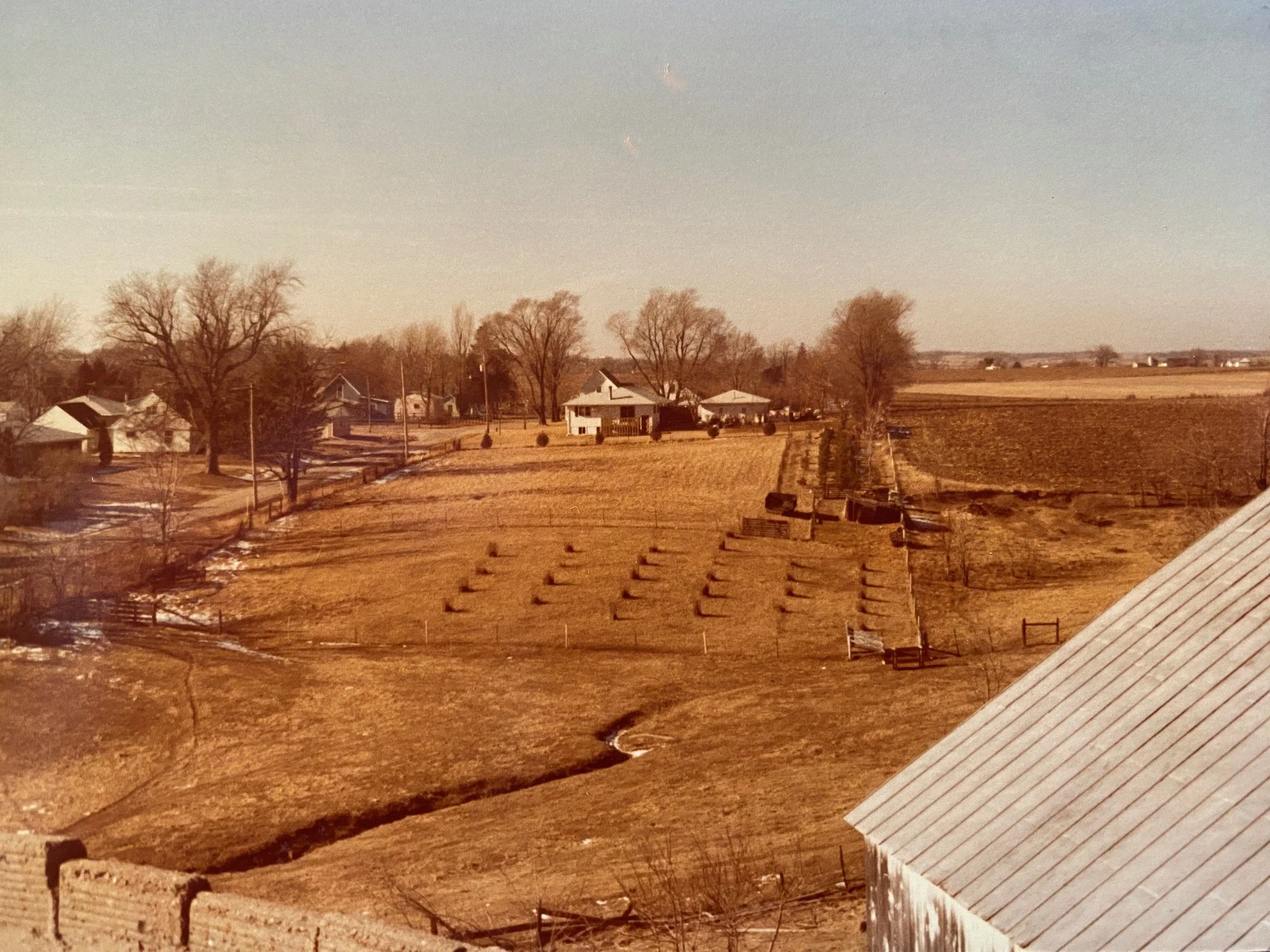 A rural landscape during winter with brown grass, leafless trees, a few houses, and a field with rows of hay bales, under a clear sky.