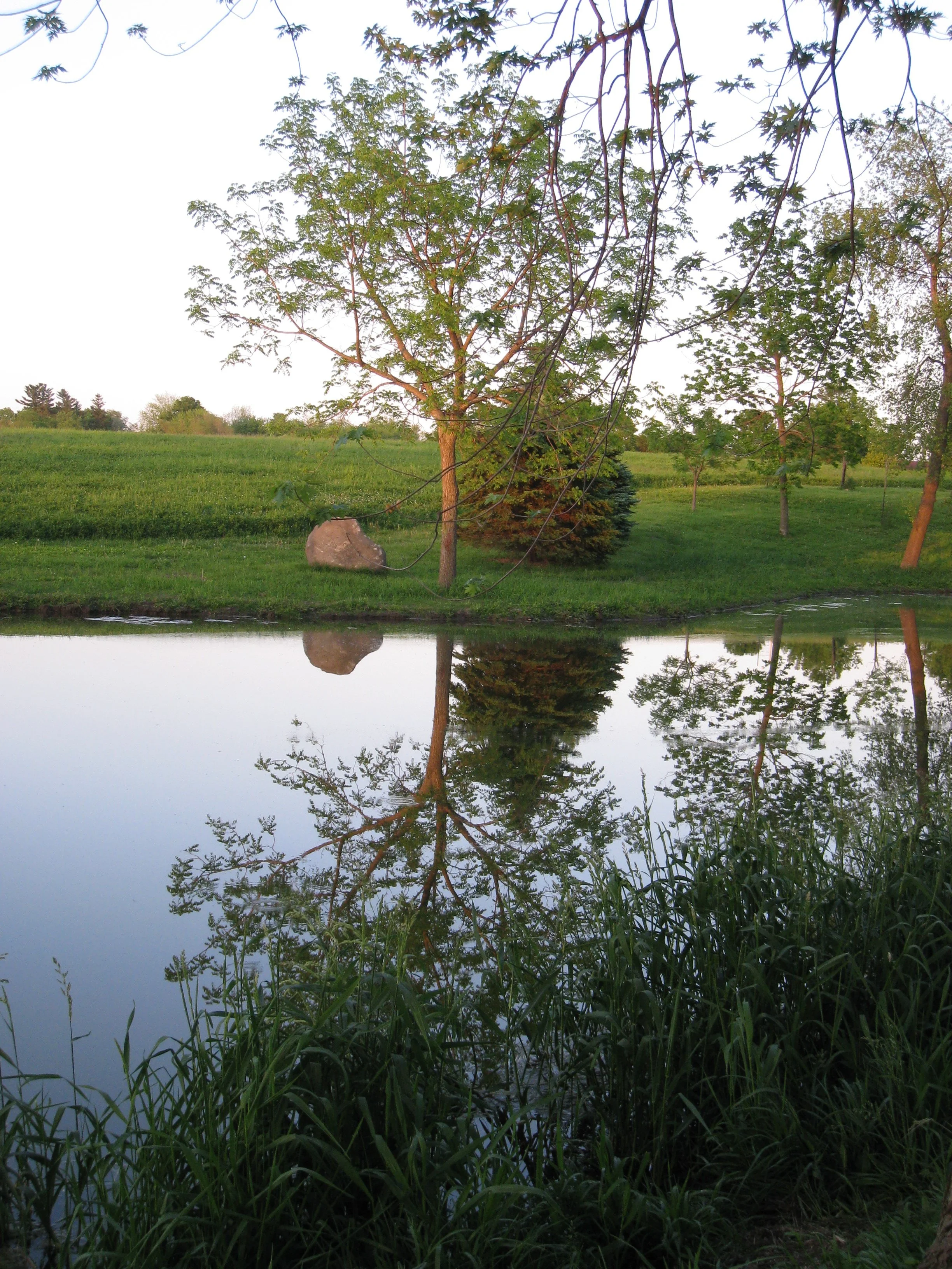 2012-5-13 Pleasant Grove rock by the pond
