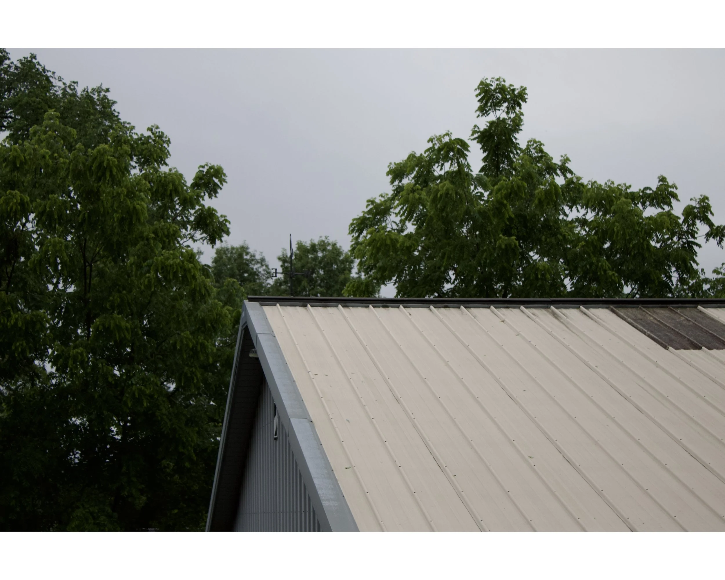 Overcast sky above trees and the roof of a building.