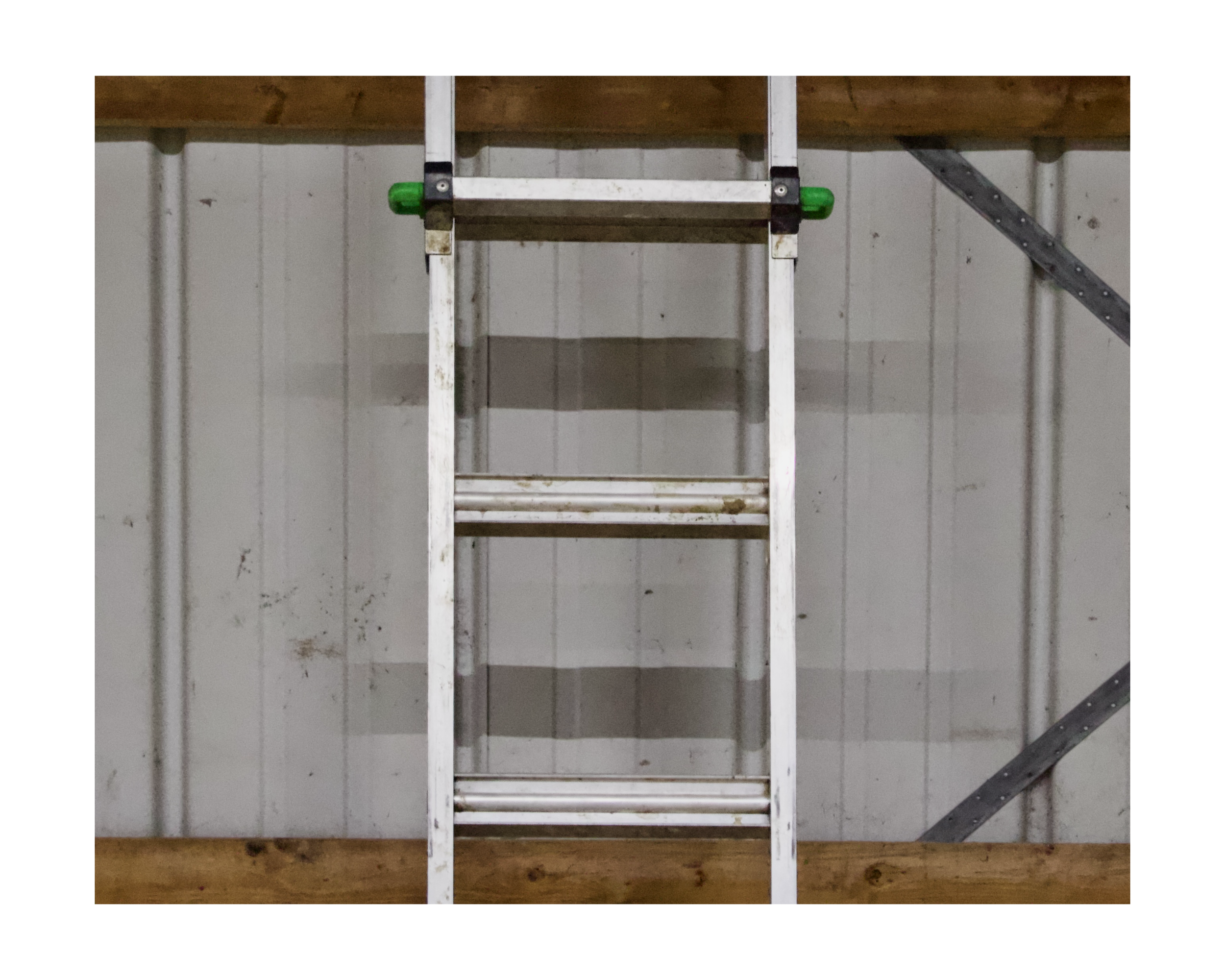 A metal ladder attached to a wooden shelf in a garage or workshop with a gray wall and black and green hardware.