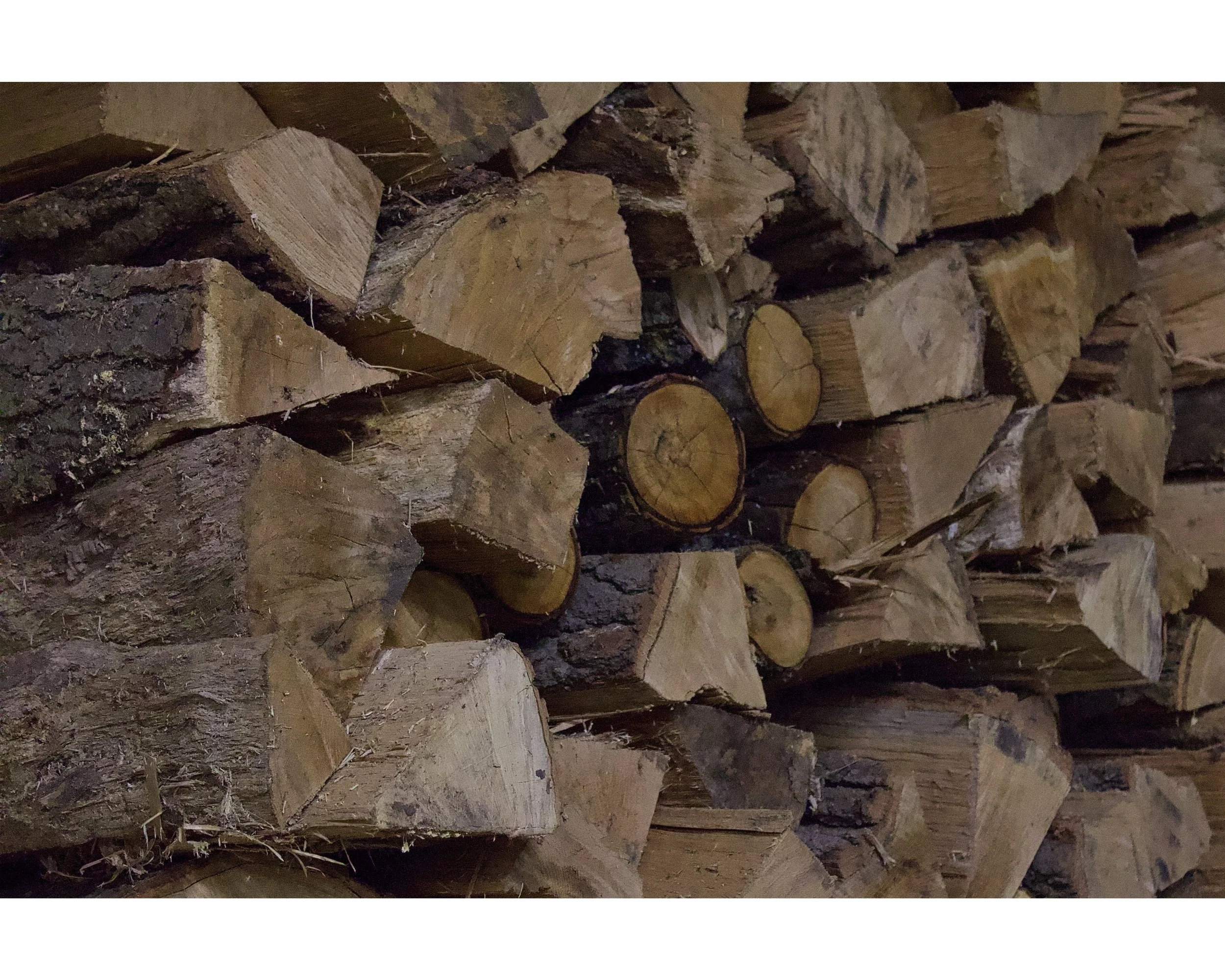 A close-up view of stacked cut logs with visible tree rings and bark.