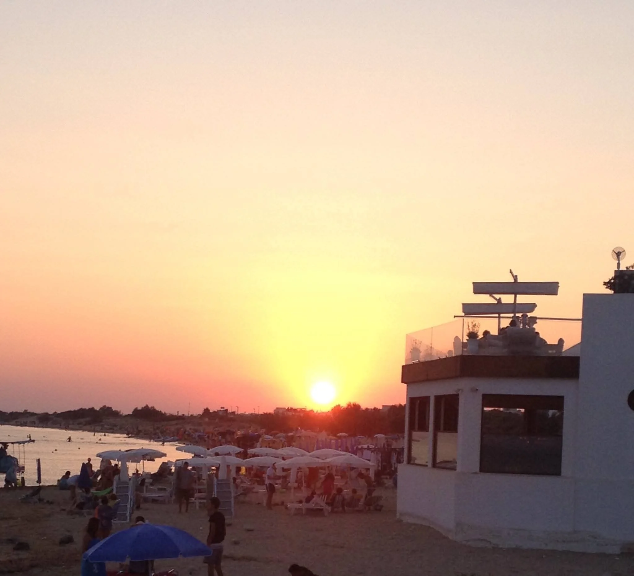 WhatsApp Image 2025-02-02 à 18.21.10_bd837196(1).jpg