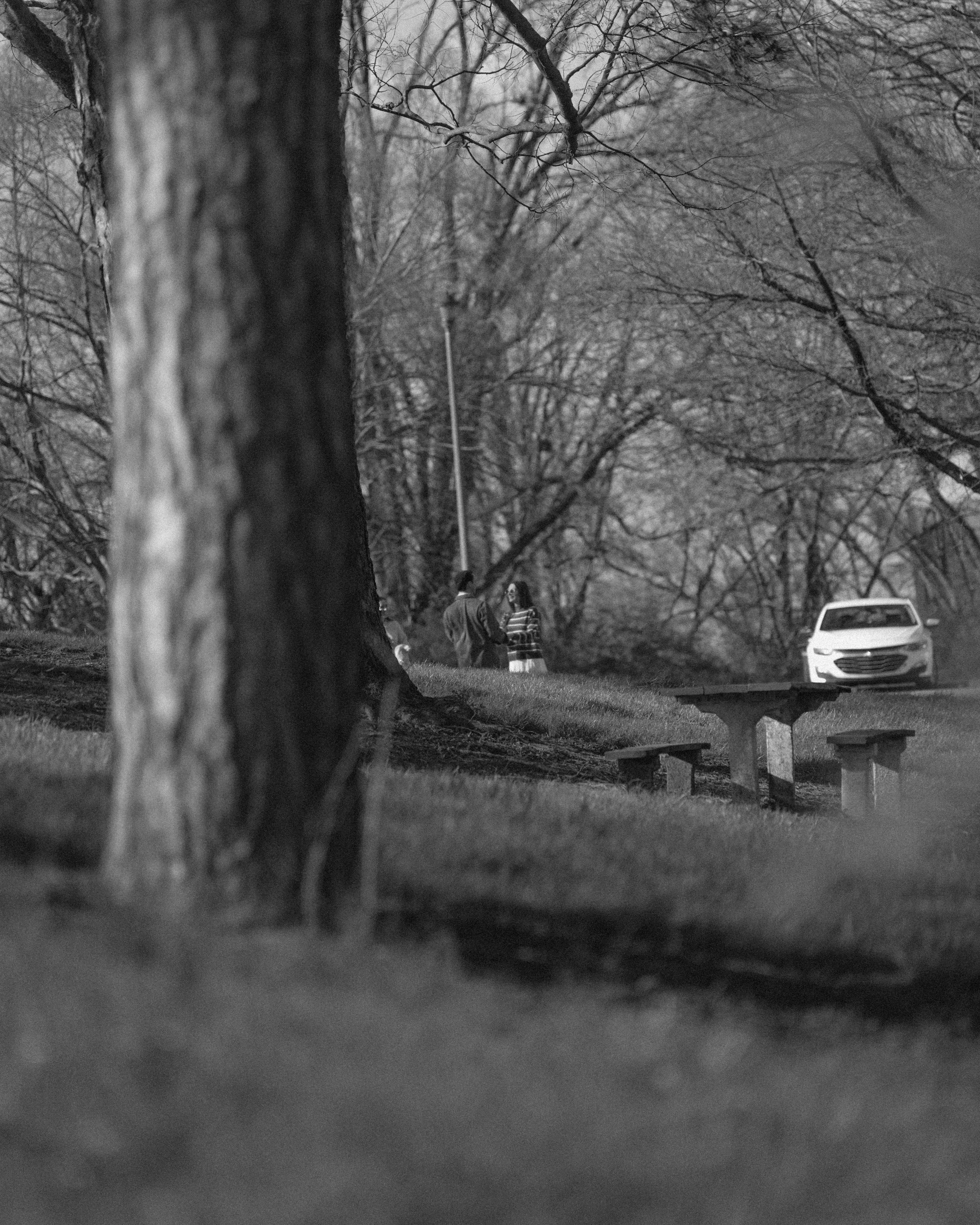 Ware Engagement-11.jpg