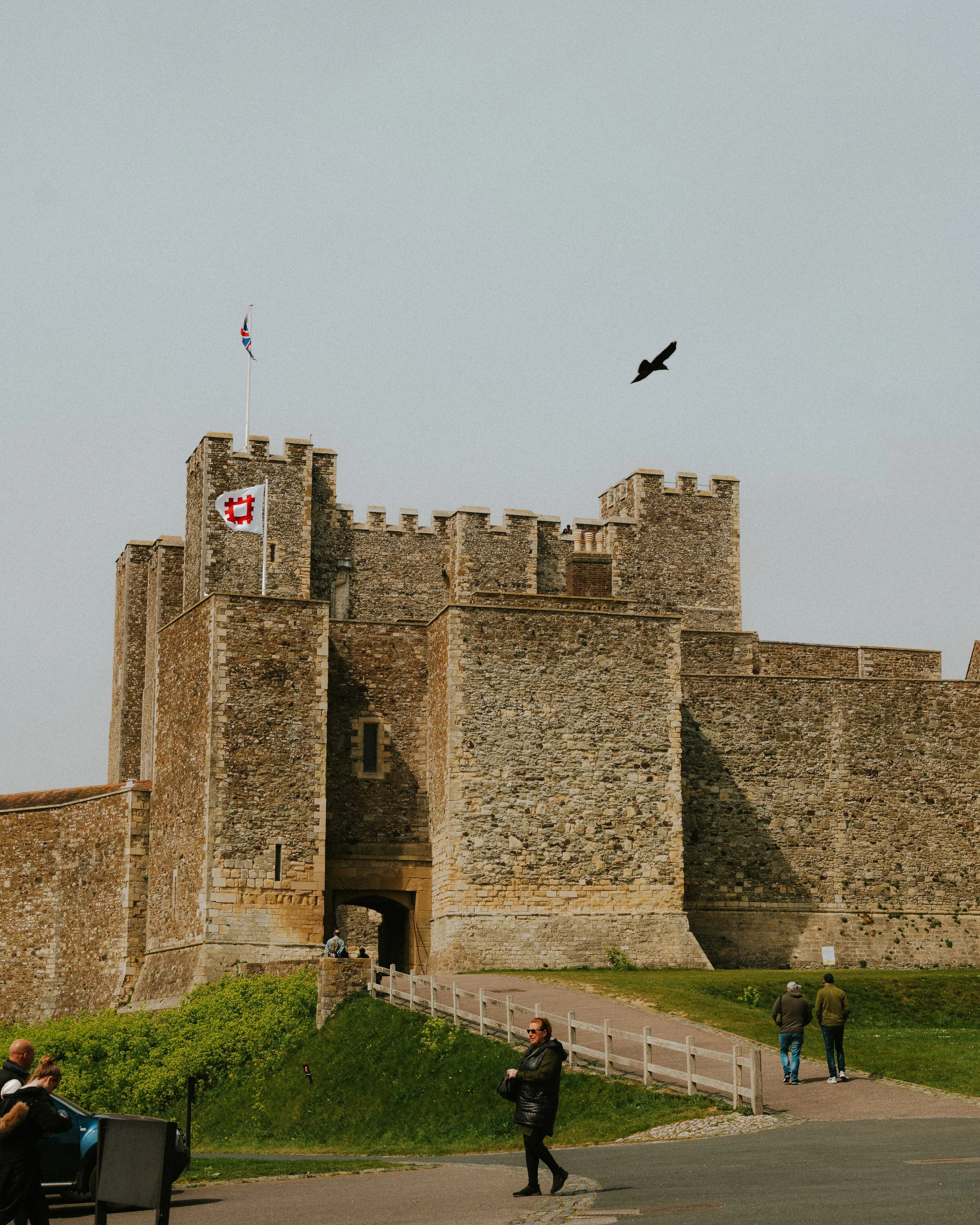 DOVER-9.jpg