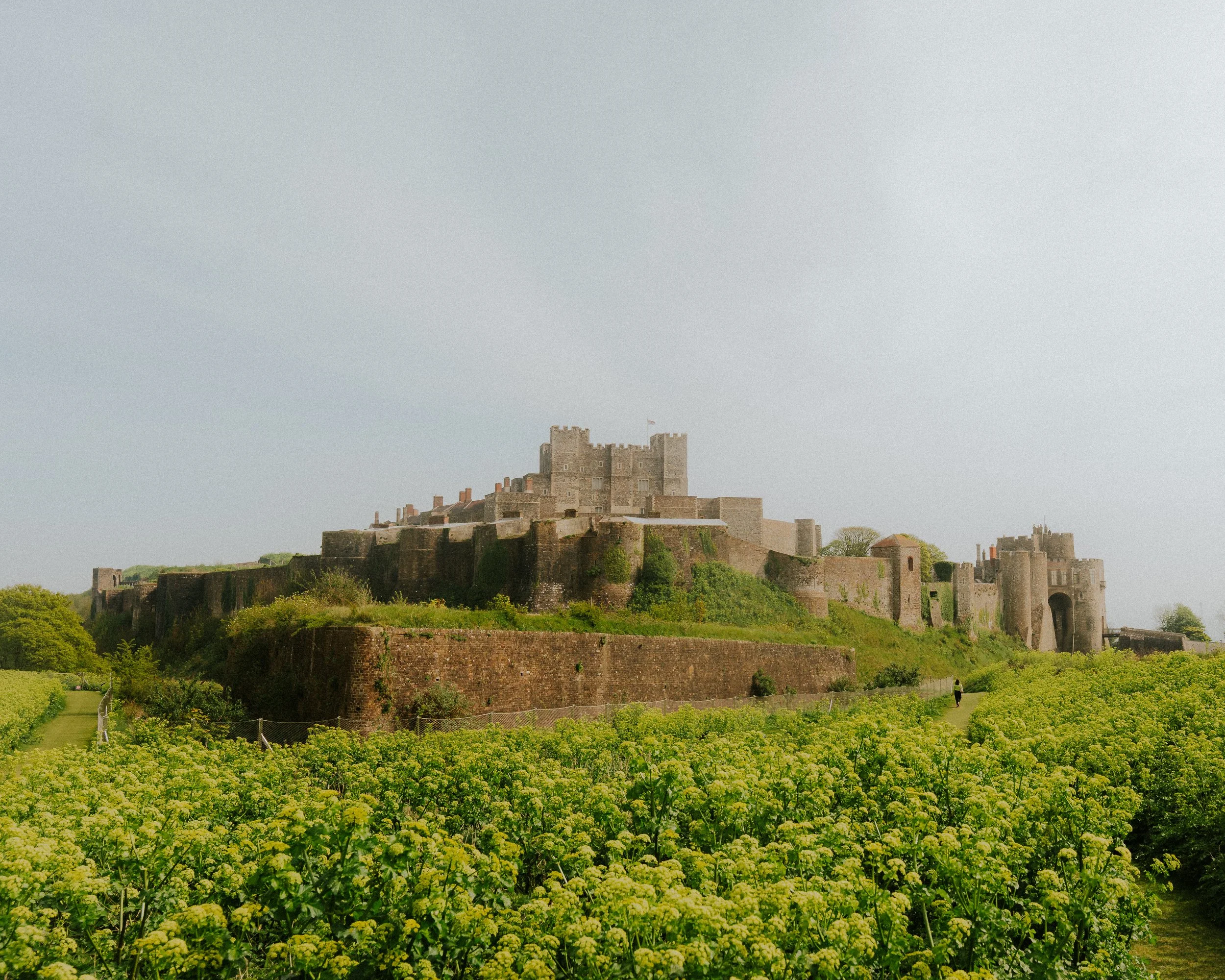 DOVER-38.jpg