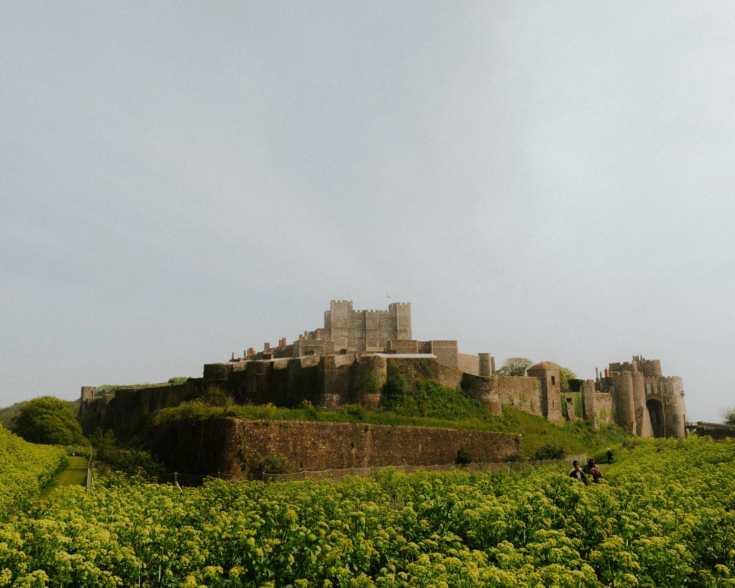 DOVER-36.jpg