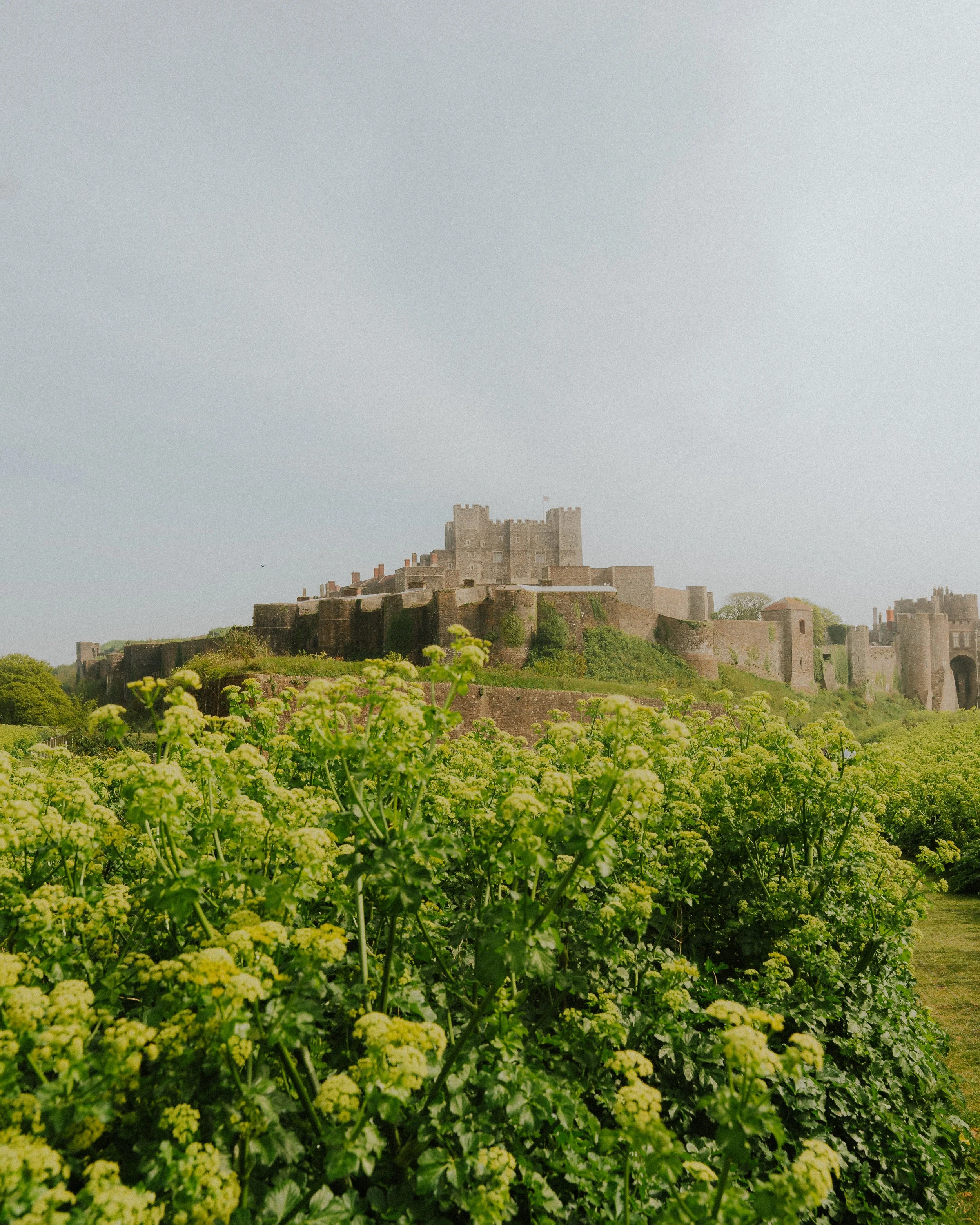 DOVER-39.jpg