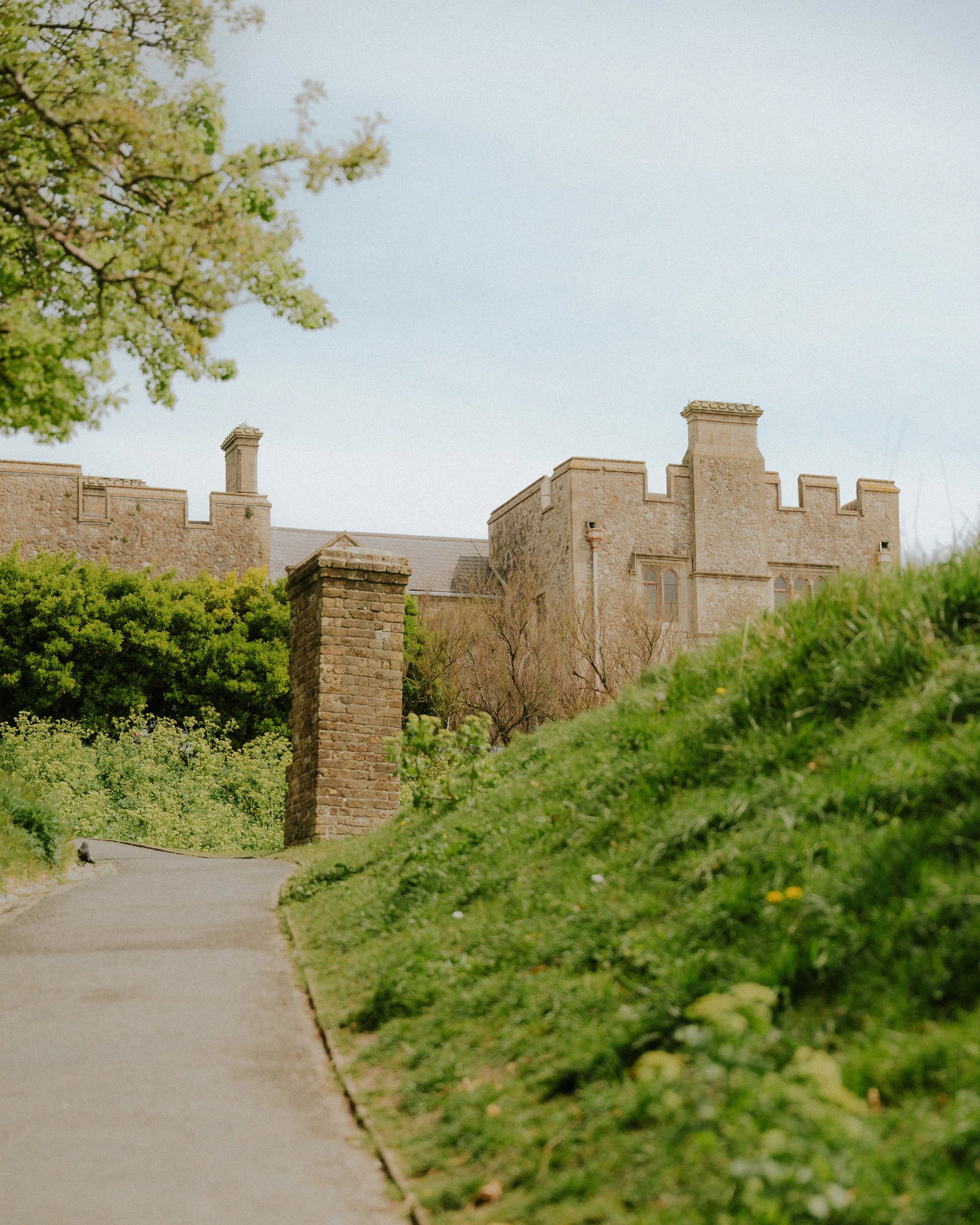 DOVER-1.jpg