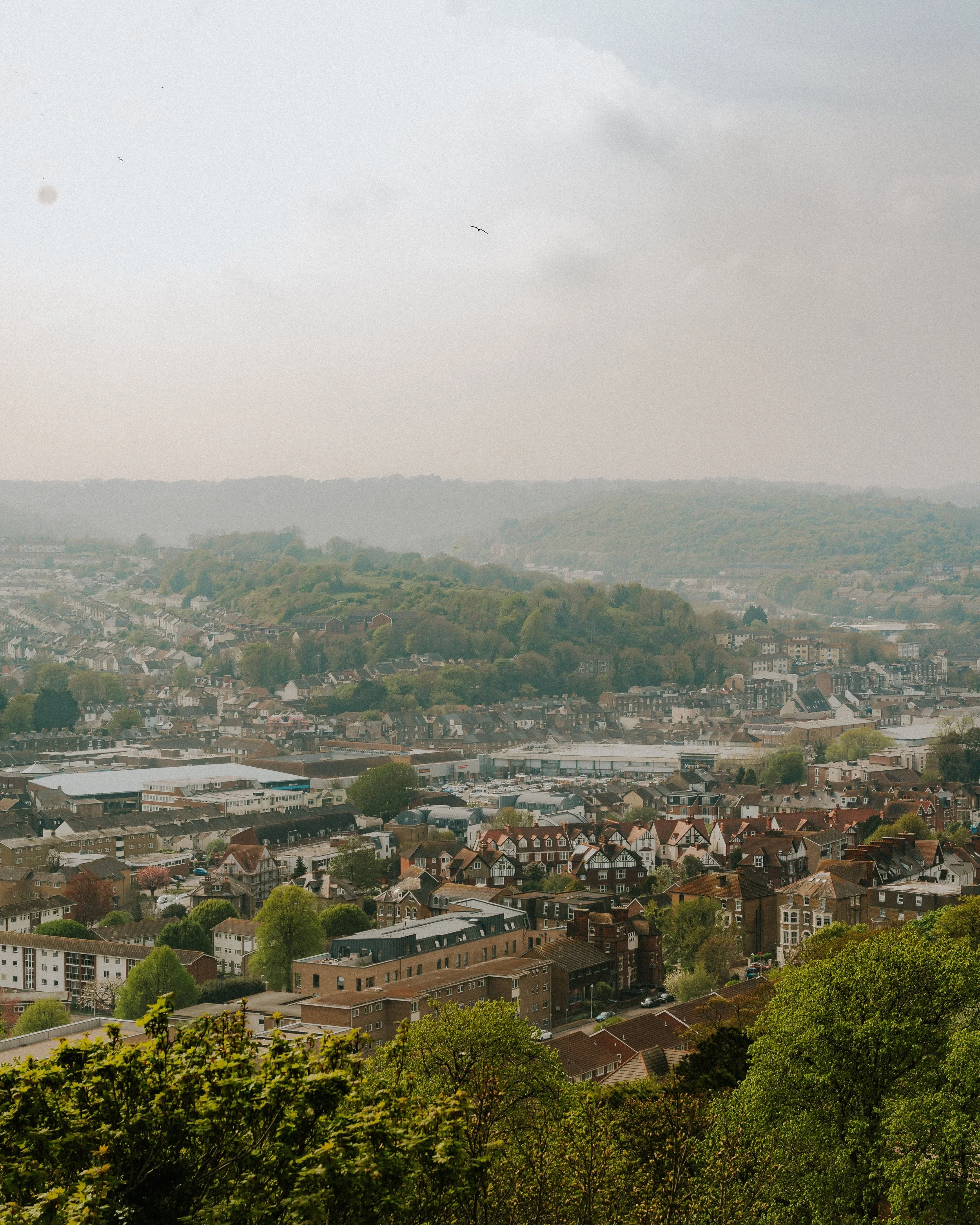 DOVER-48.jpg