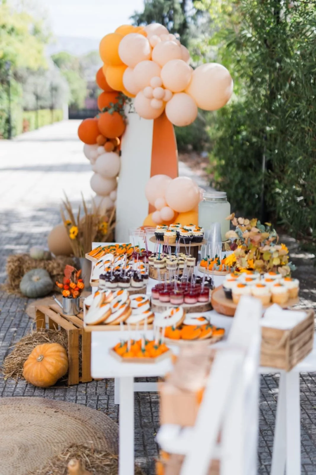 WhatsApp Image 2025-02-14 at 17.34.47_95dbcc0b.jpg