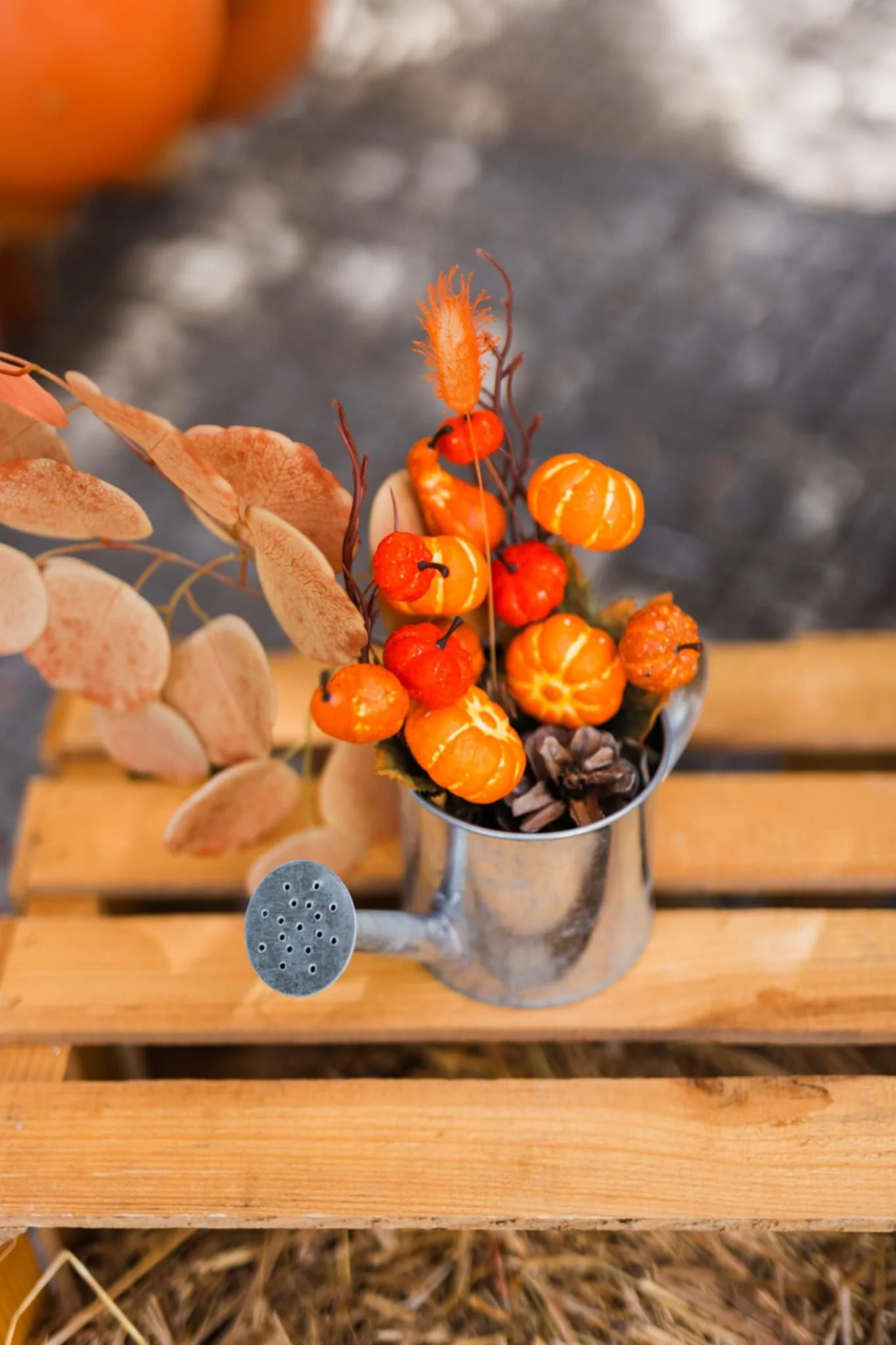 WhatsApp Image 2025-02-14 at 17.34.47_1dba07d3.jpg