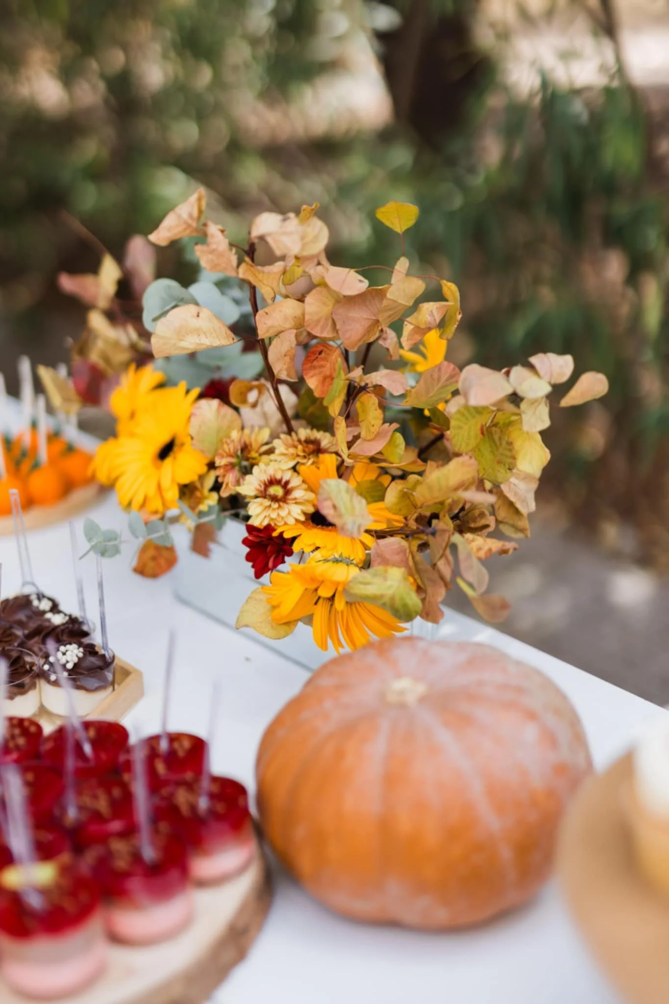 WhatsApp Image 2025-02-14 at 17.34.45_e5bdd35e.jpg