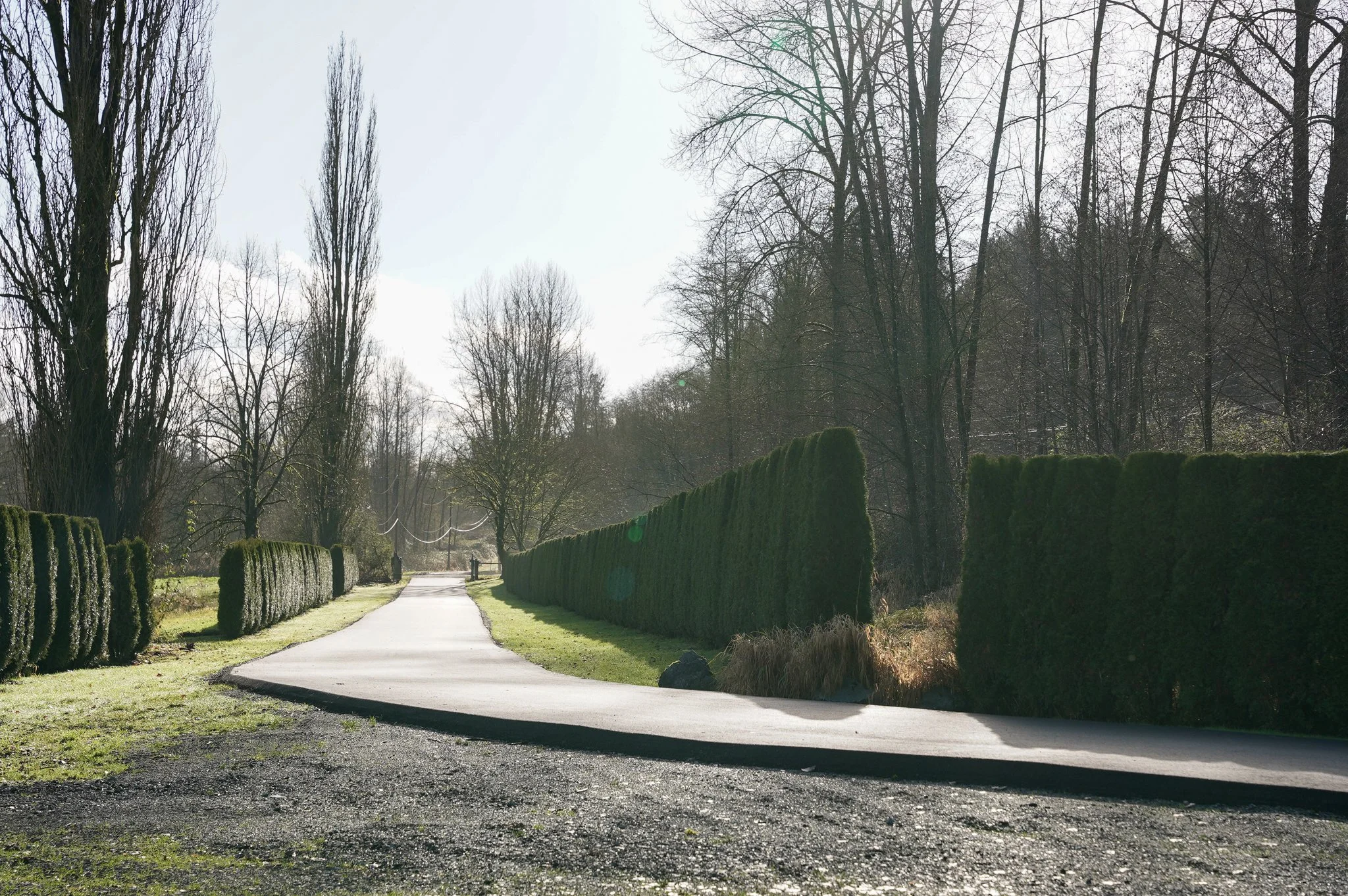 Langley - Hansen Residence - 9000 223A Street (new)-21.jpg