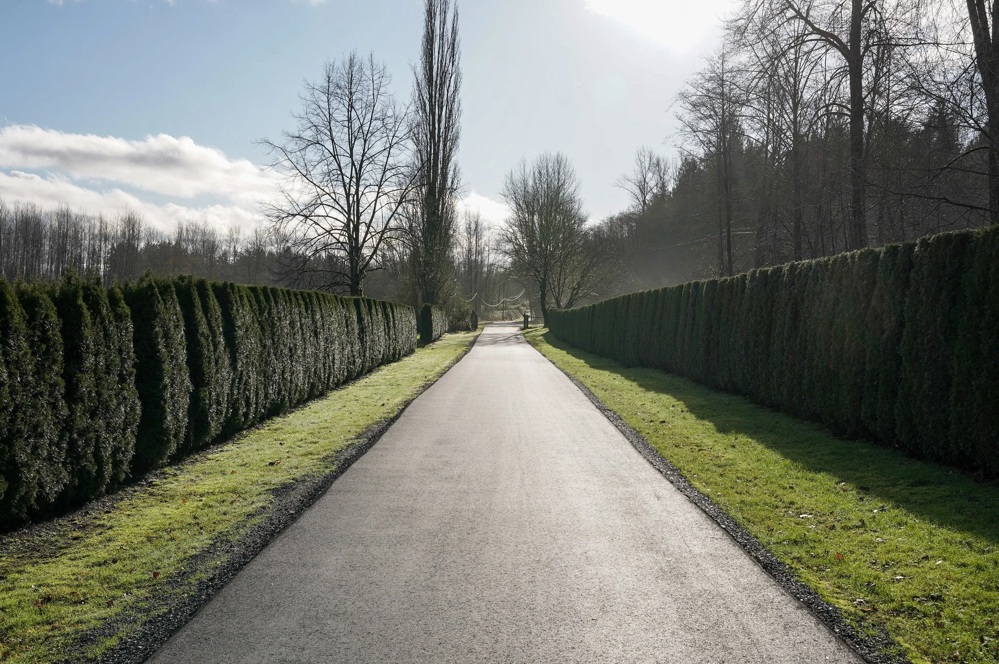 Langley - Hansen Residence - 9000 223A Street (new)-11.jpg