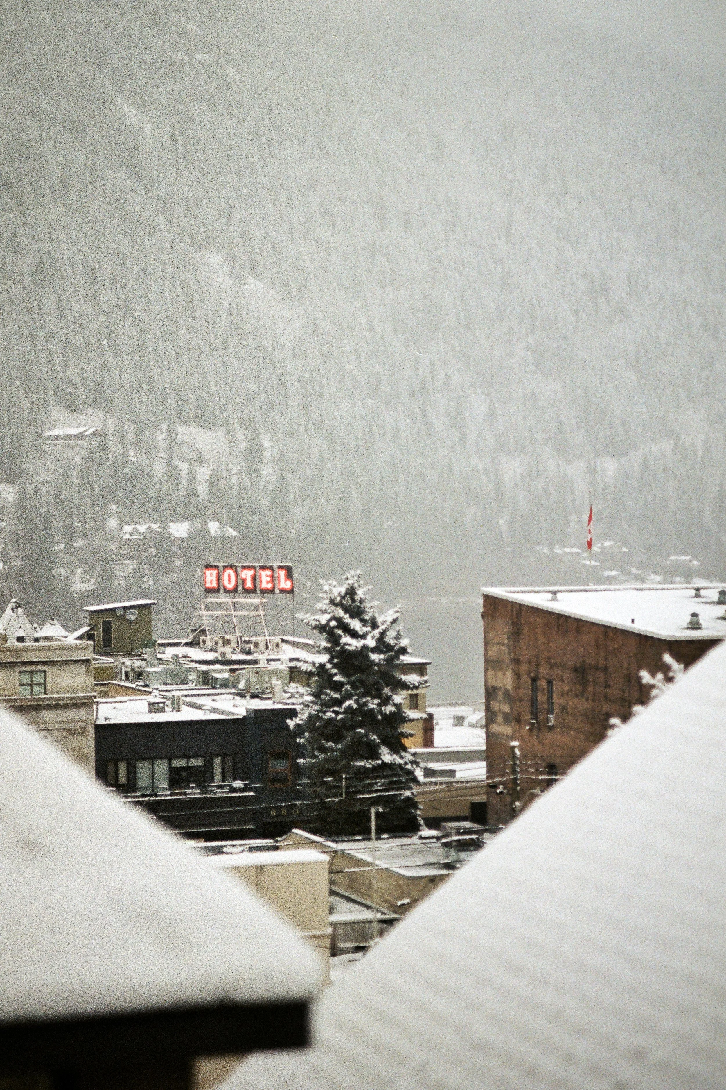 PLACES_NelsonMotel.jpg