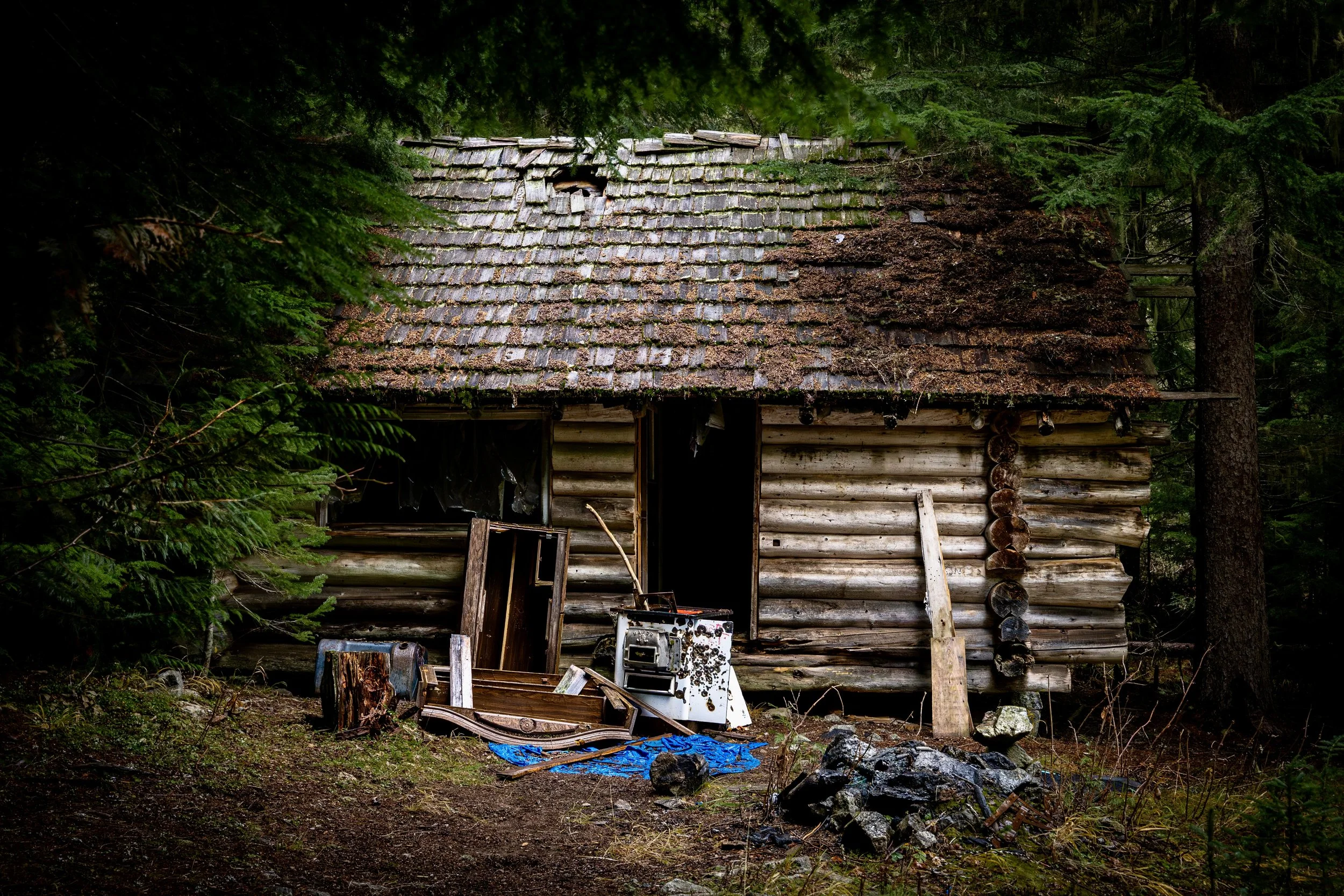 THINGS_CABIN IN THE WOODS.jpg