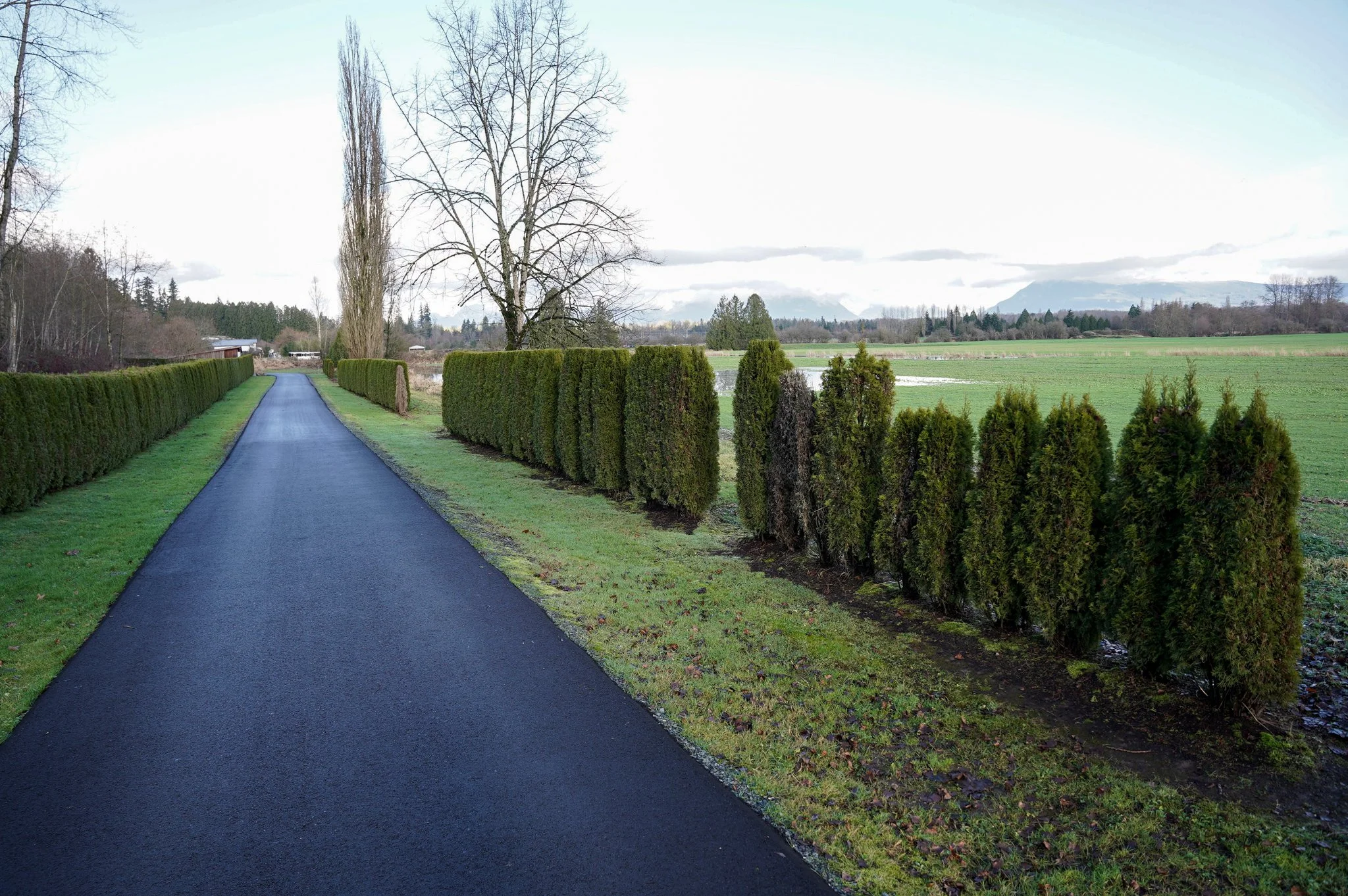 Langley - Hansen Residence - 9000 223A Street (new)-07.jpg