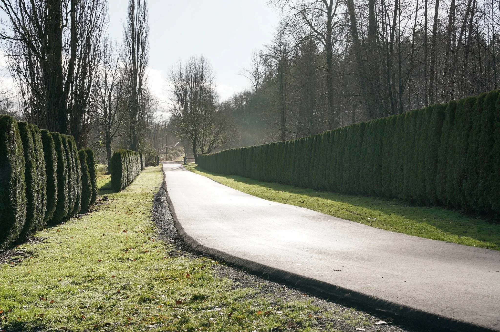 Langley - Hansen Residence - 9000 223A Street (new)-18.jpg