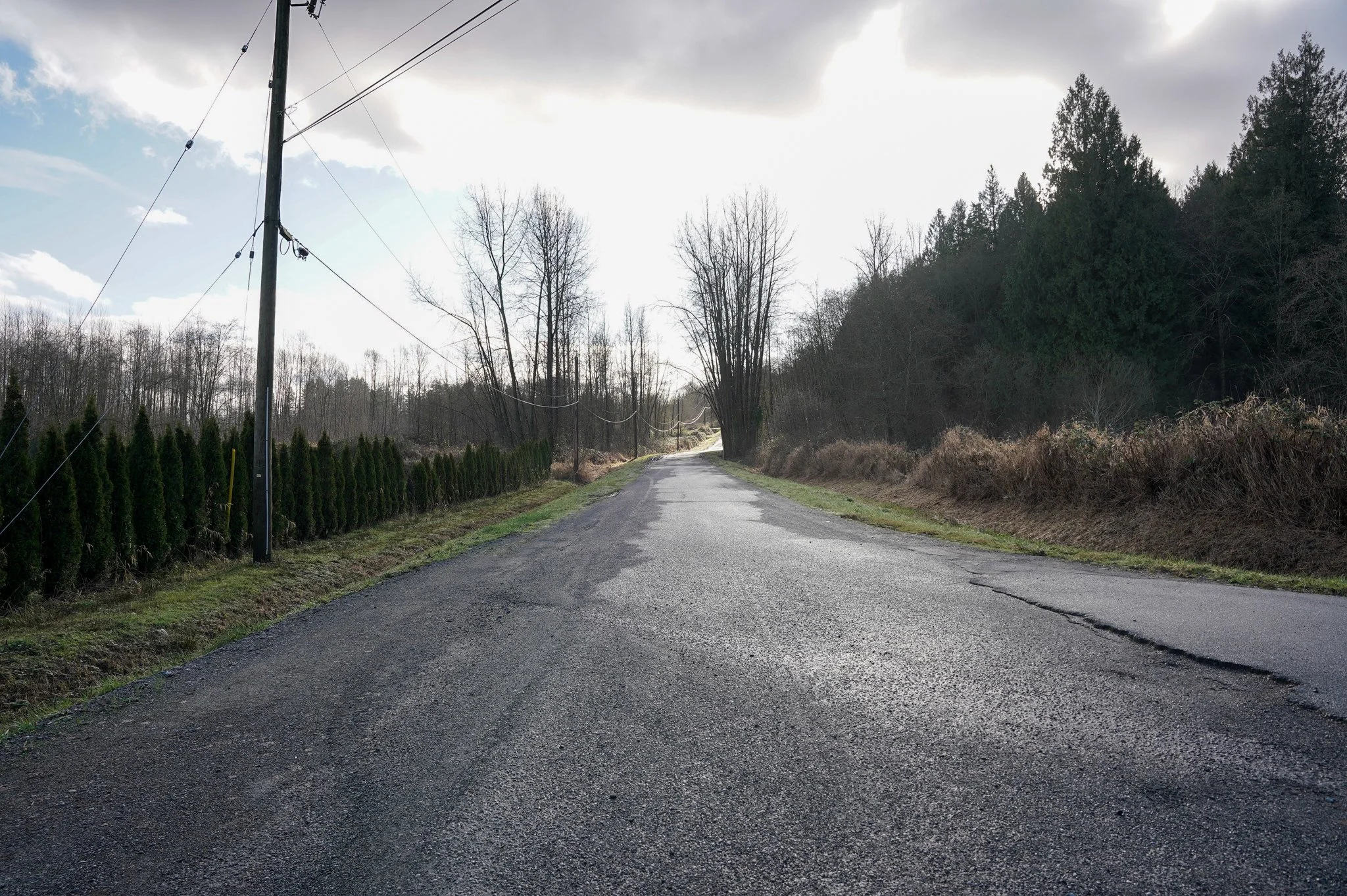 Langley - Hansen Residence - 9000 223A Street (new)-03.jpg