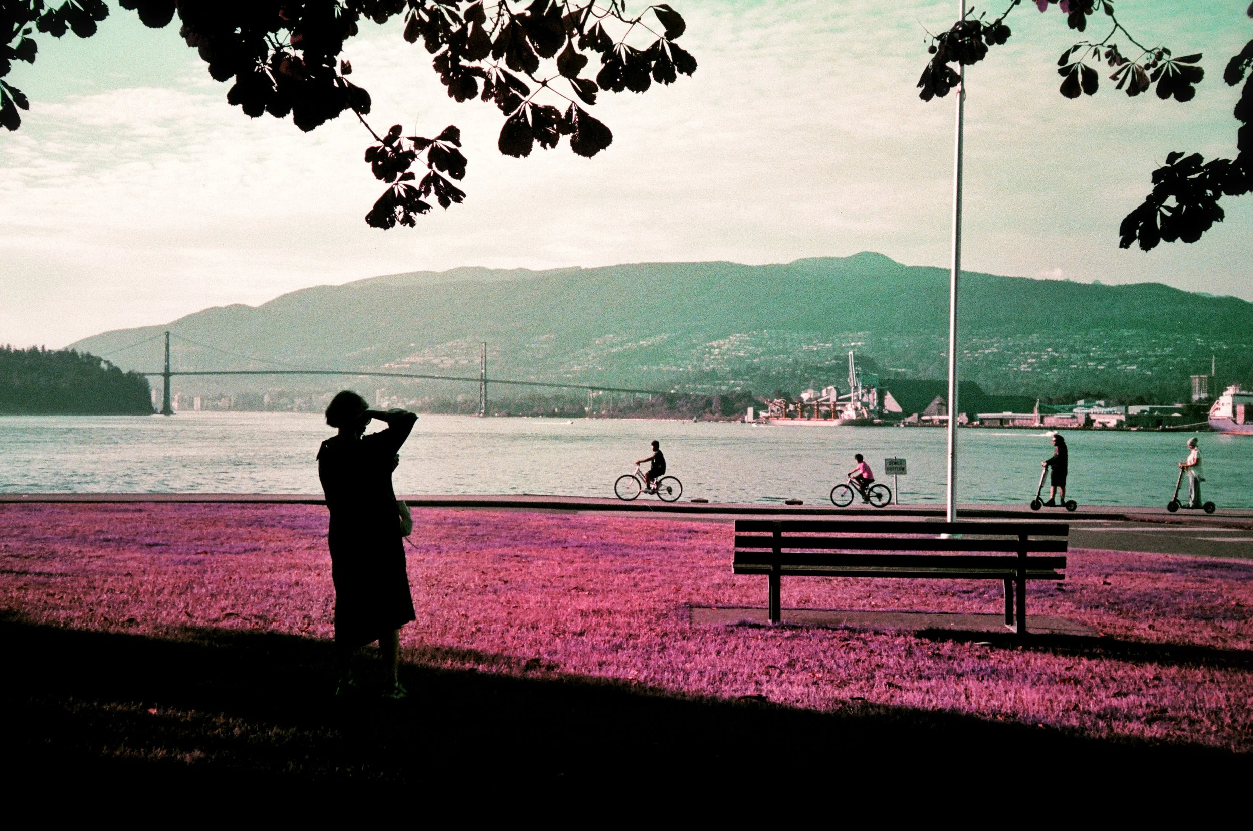 PEOPLE_LOMOPURPLE_StanleyPark.JPG